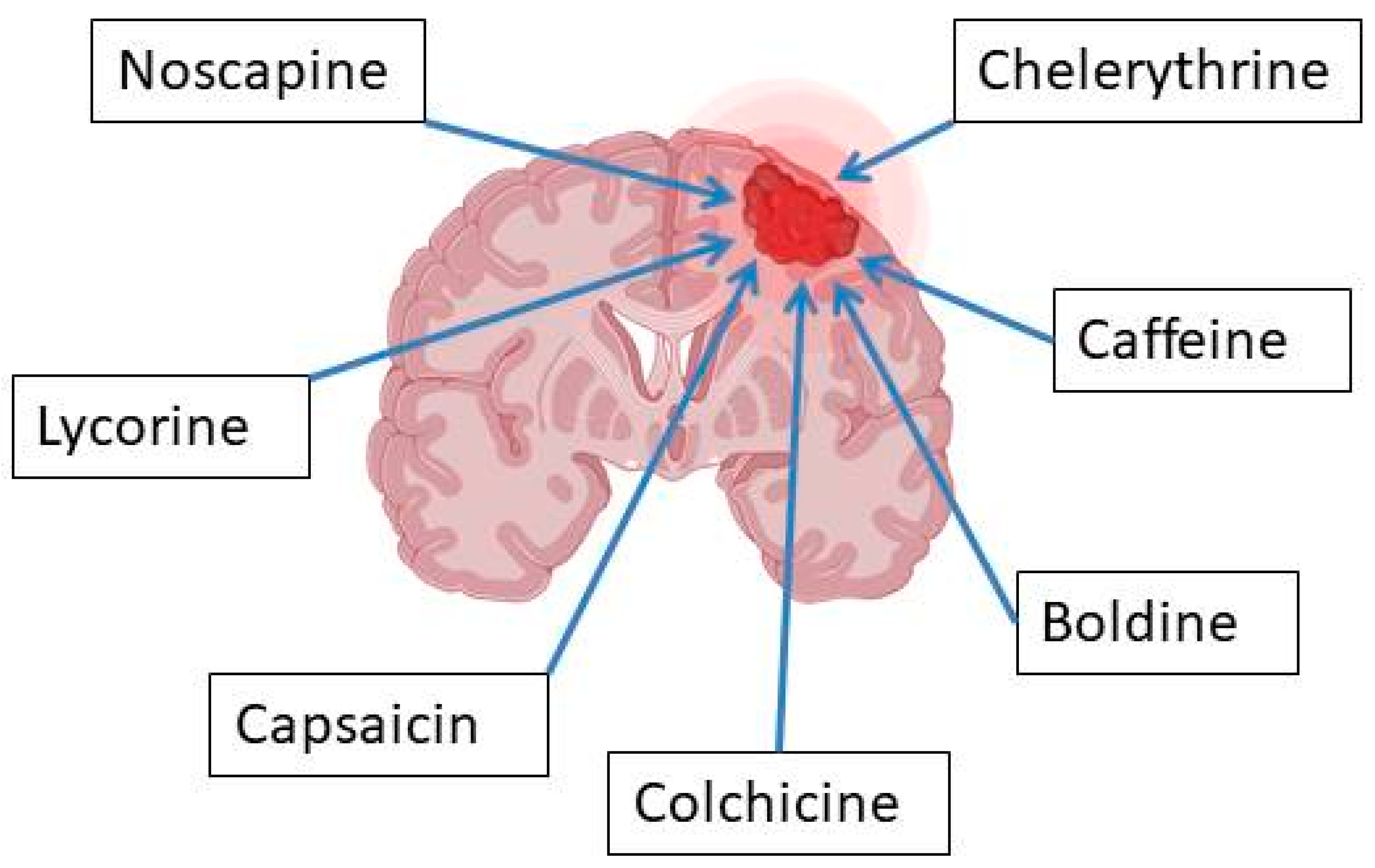 Molecules 30 01561 g004