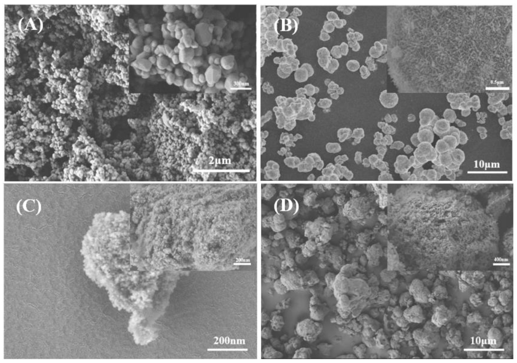 Molecules 30 01568 g013