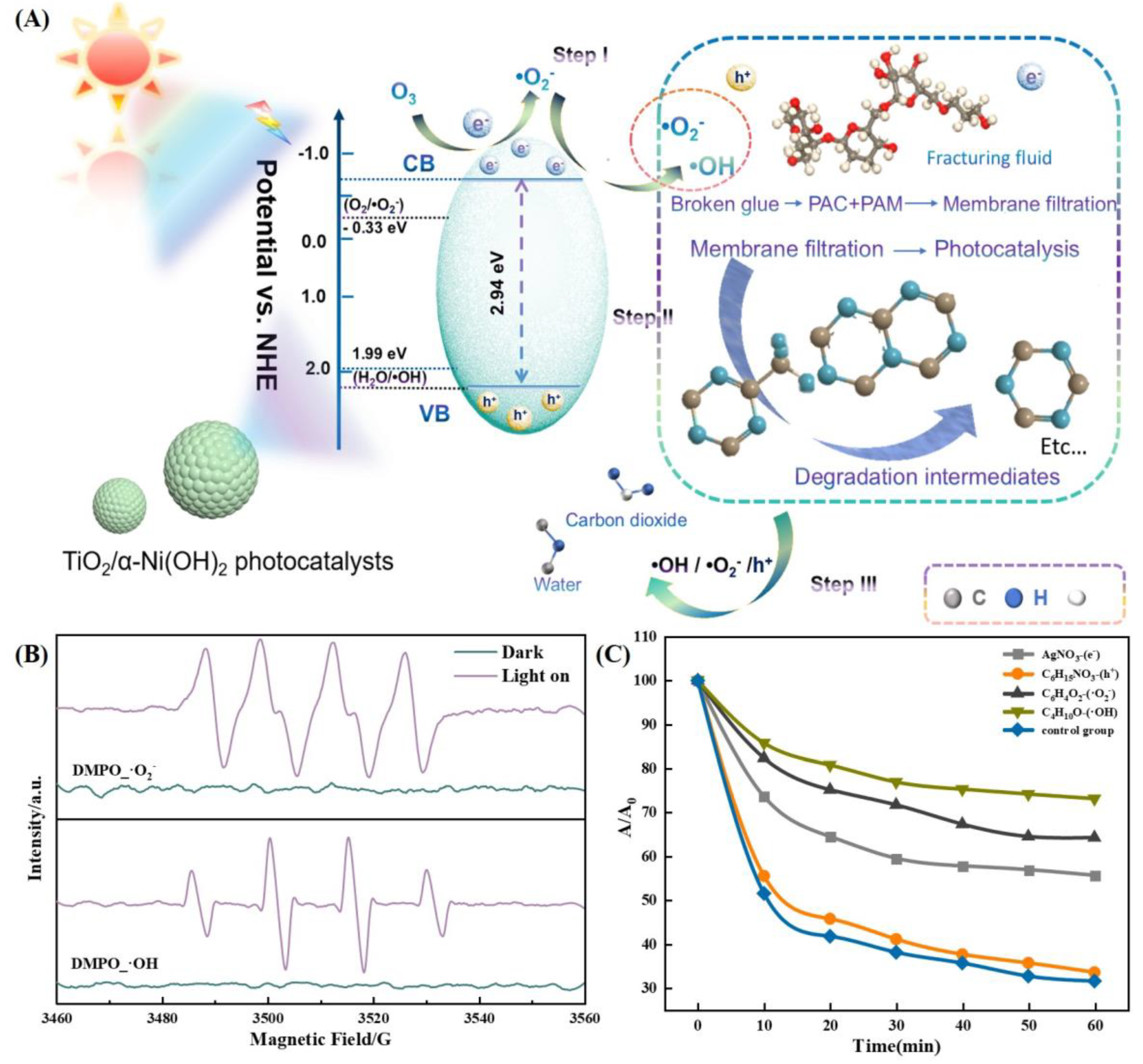 Molecules 30 01568 g020