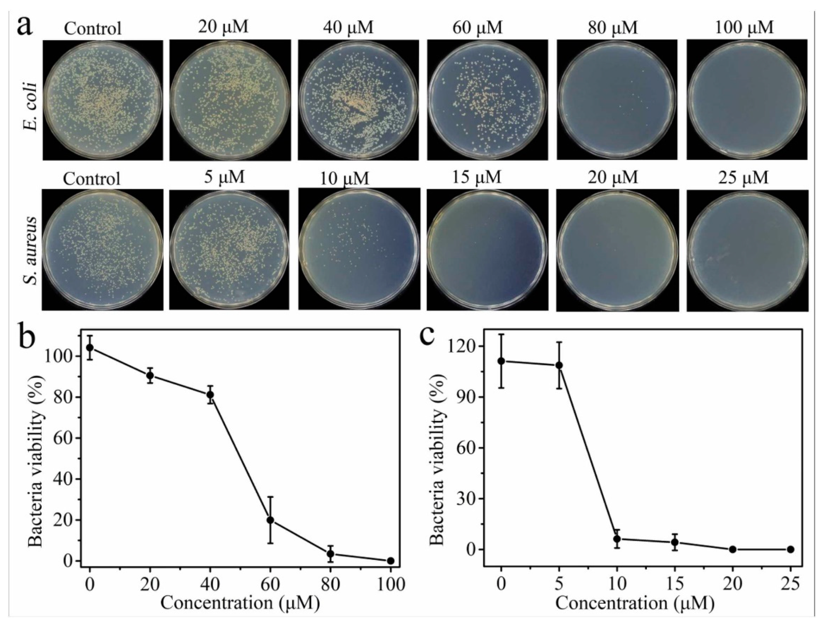 Peptide-Functionalized Nanomedicine: Advancements in Drug