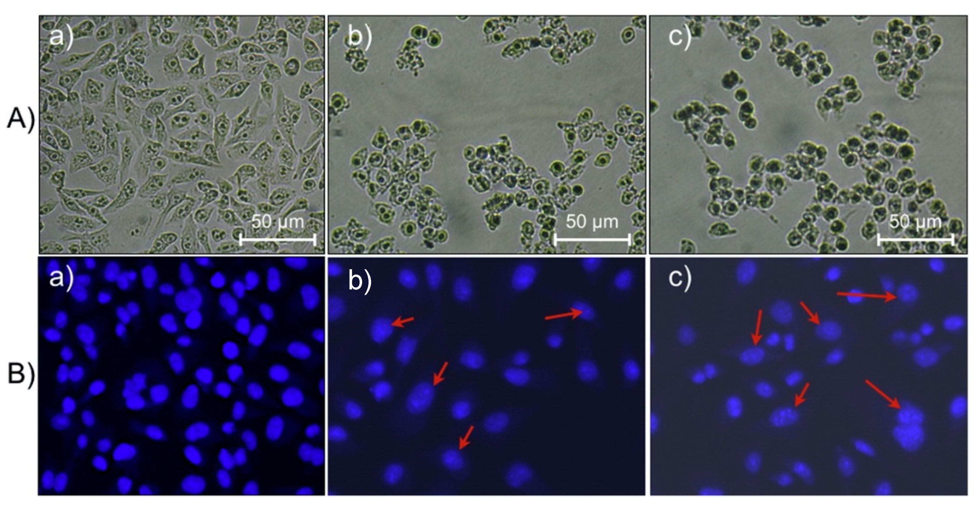 Molecules 30 01572 g003