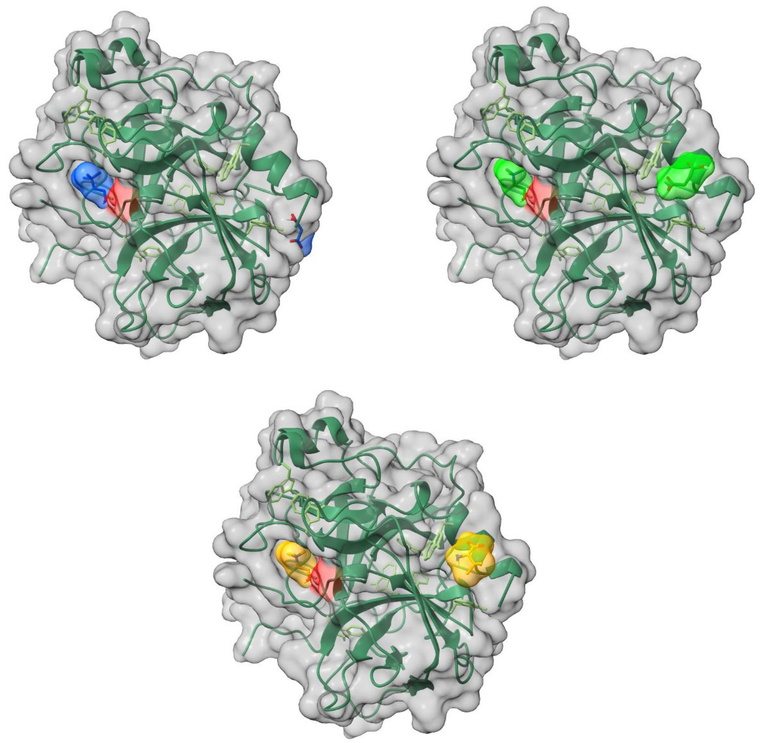 Molecules 30 01574 g009