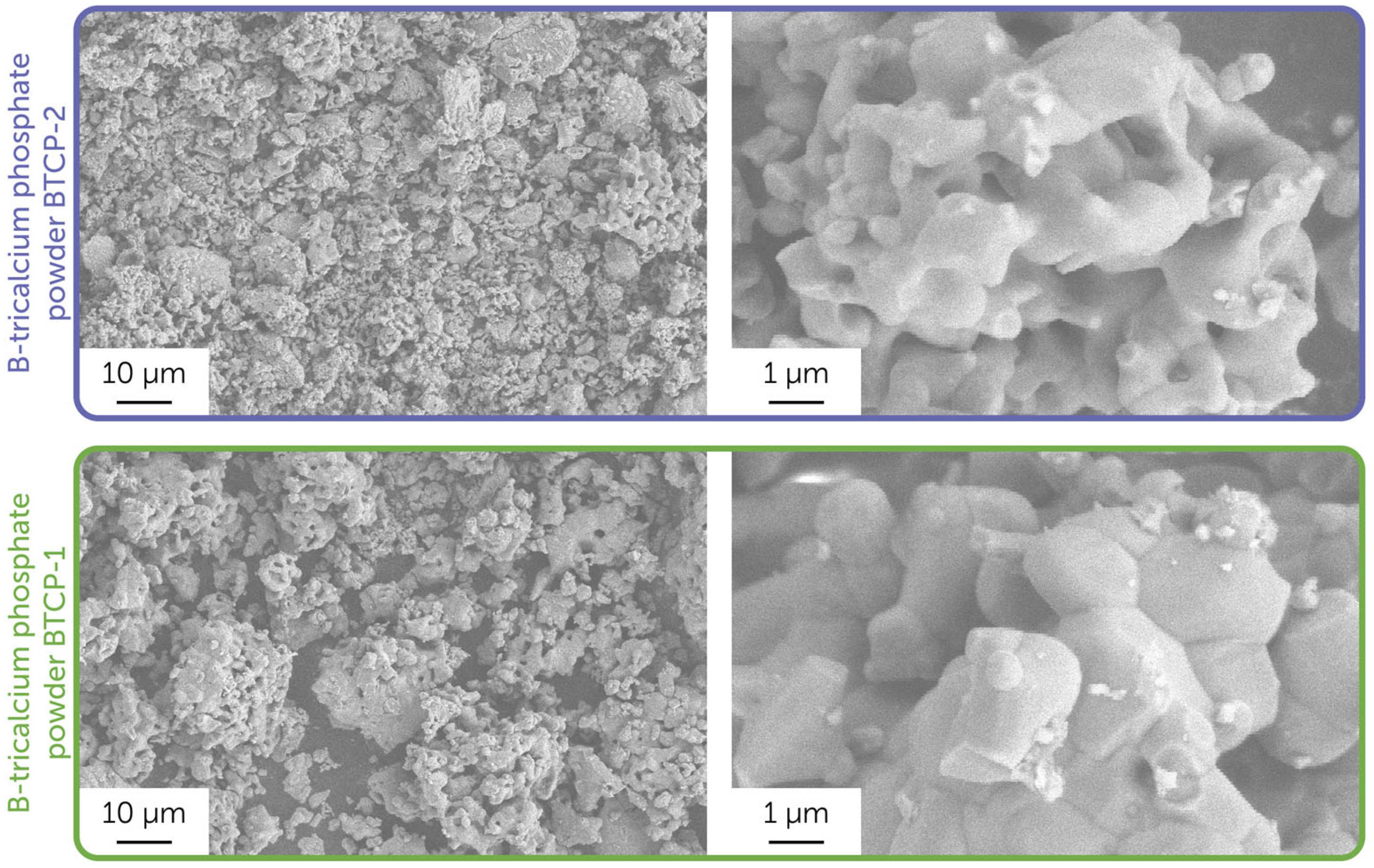 Molecules 30 01575 g002