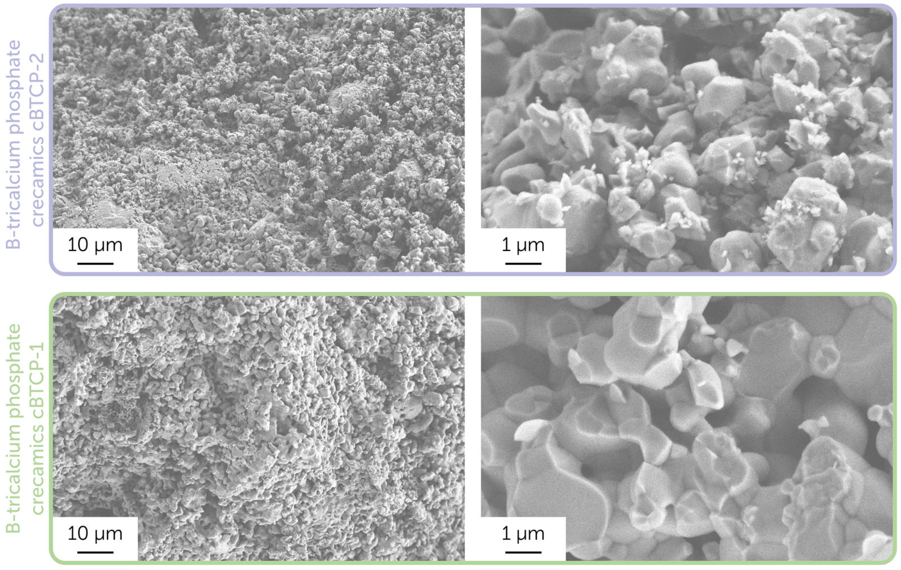 Molecules 30 01575 g004