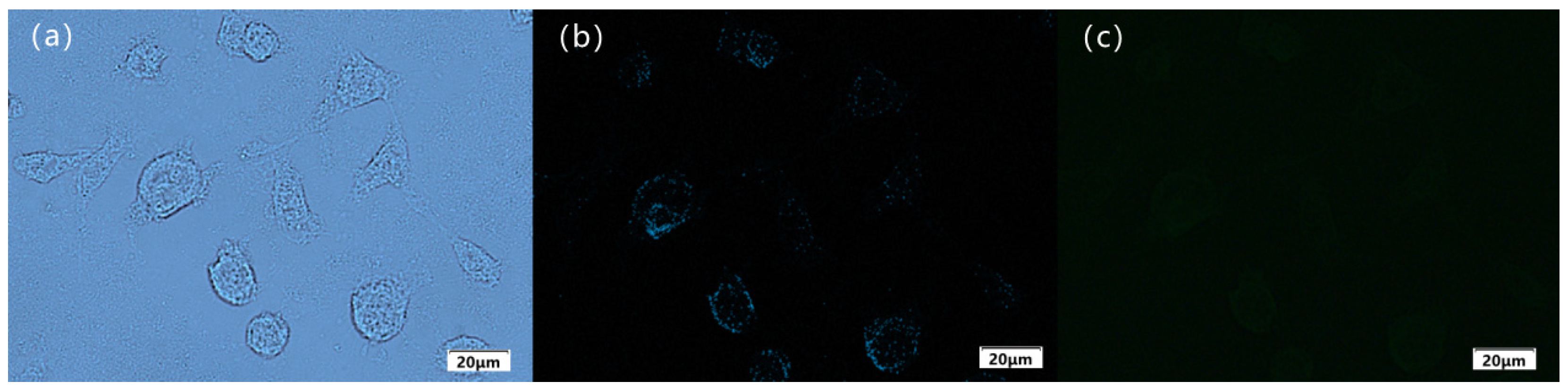 Molecules 30 01579 g011