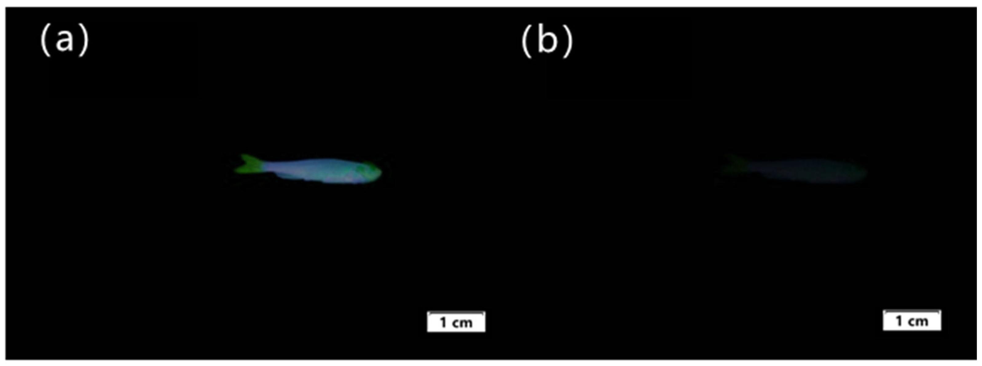 Molecules 30 01579 g012