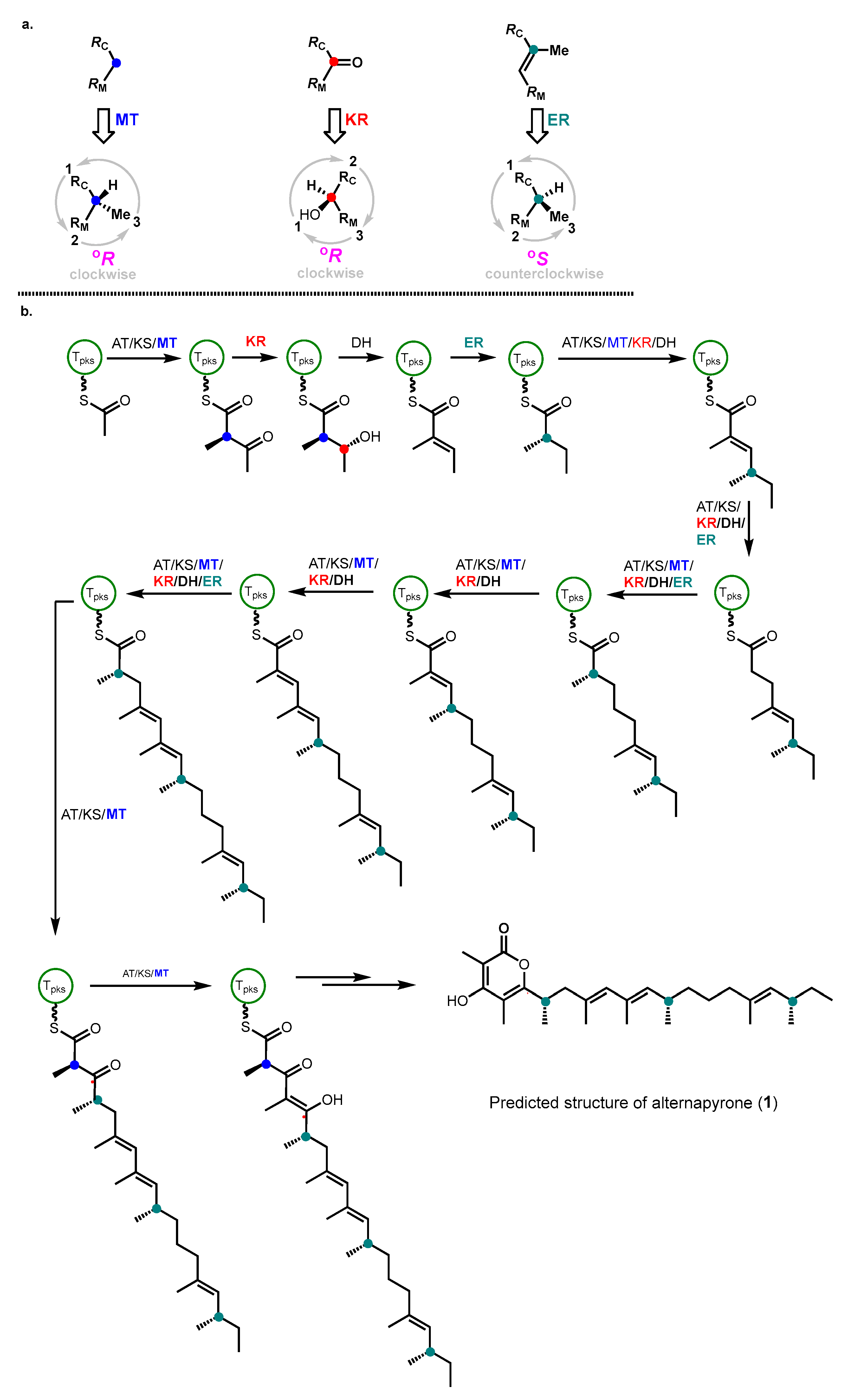 Molecules 30 01597 g002