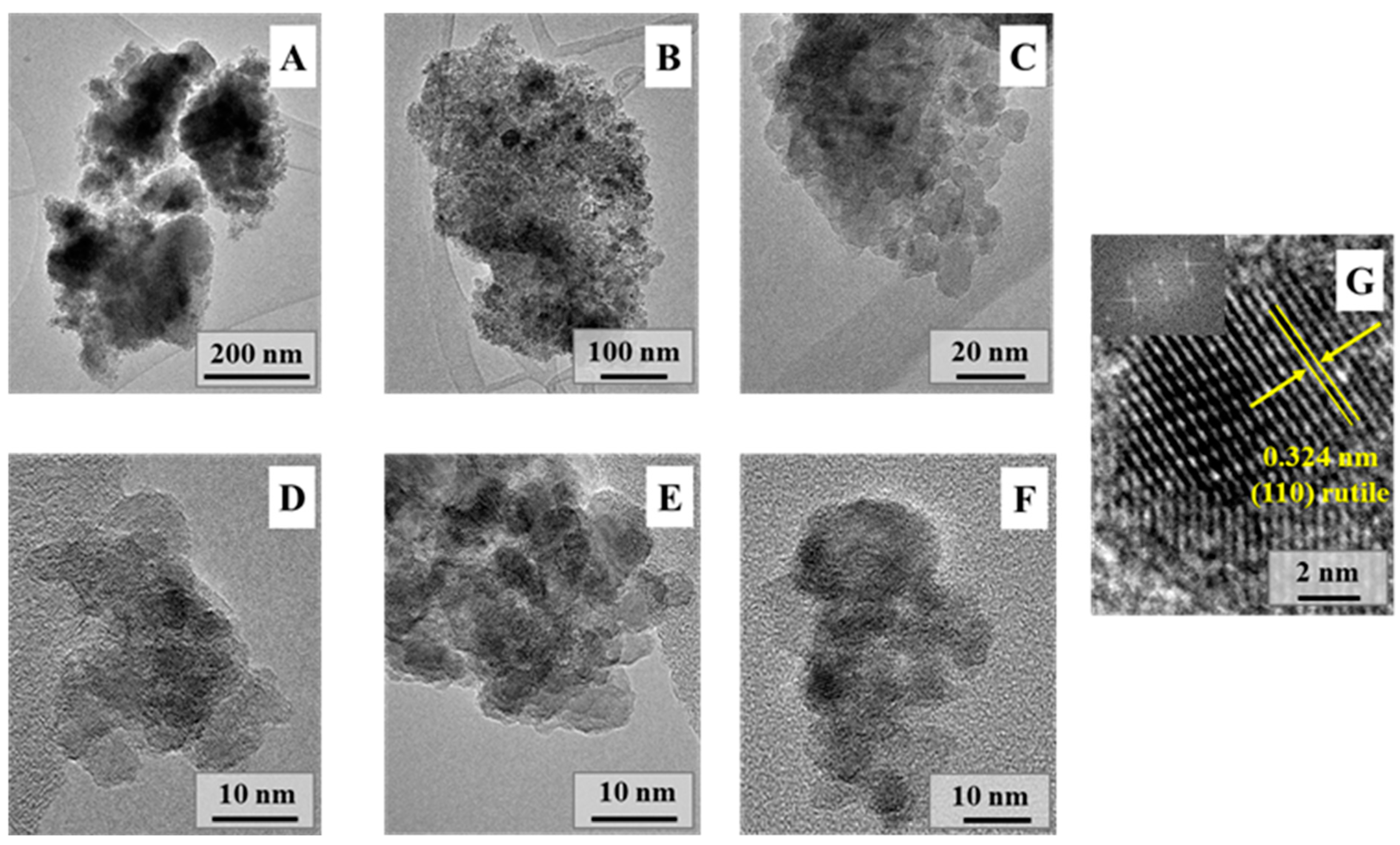 Molecules 30 01600 g004 Molecules 30 01600 g004