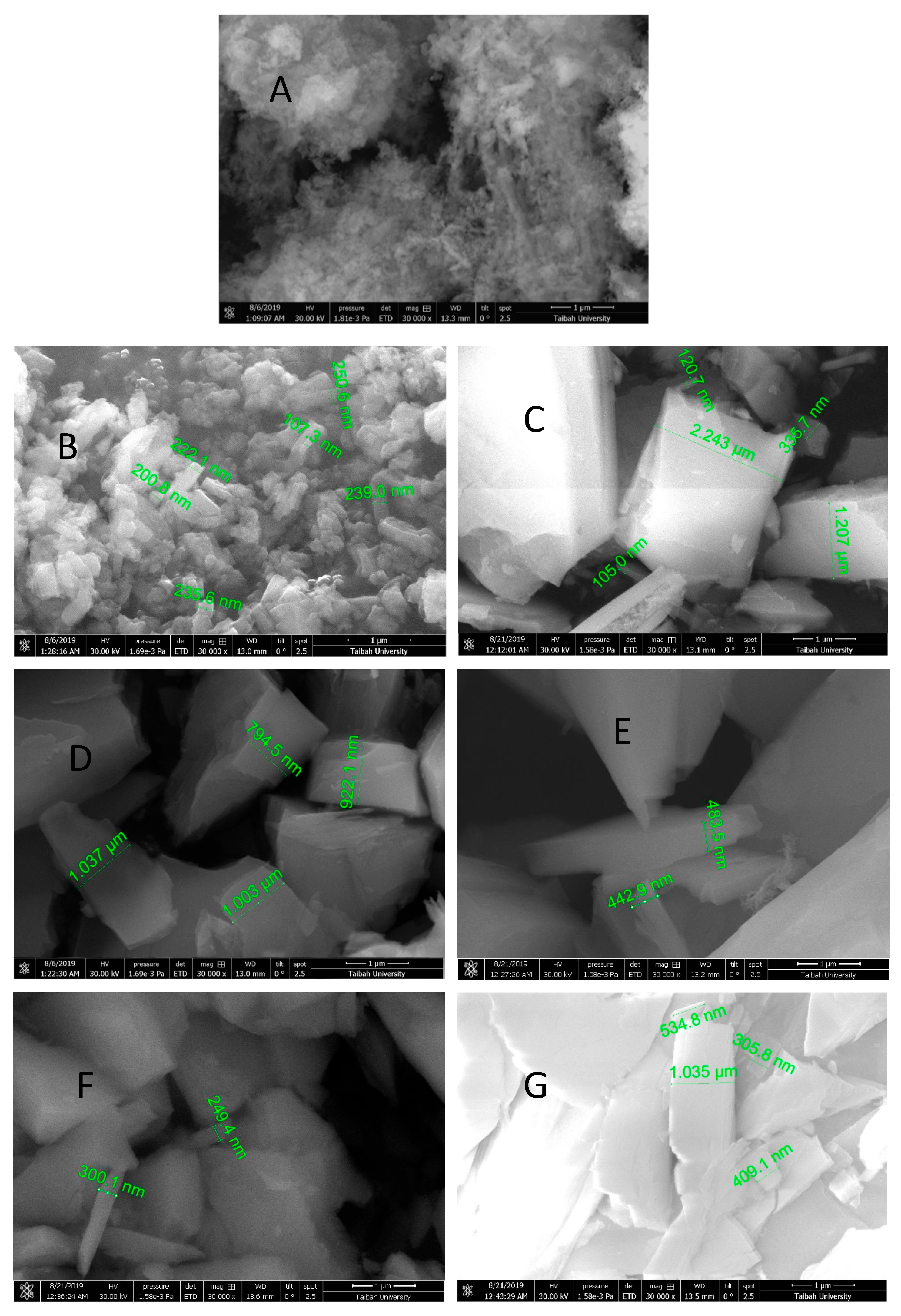 Molecules 30 01606 g013