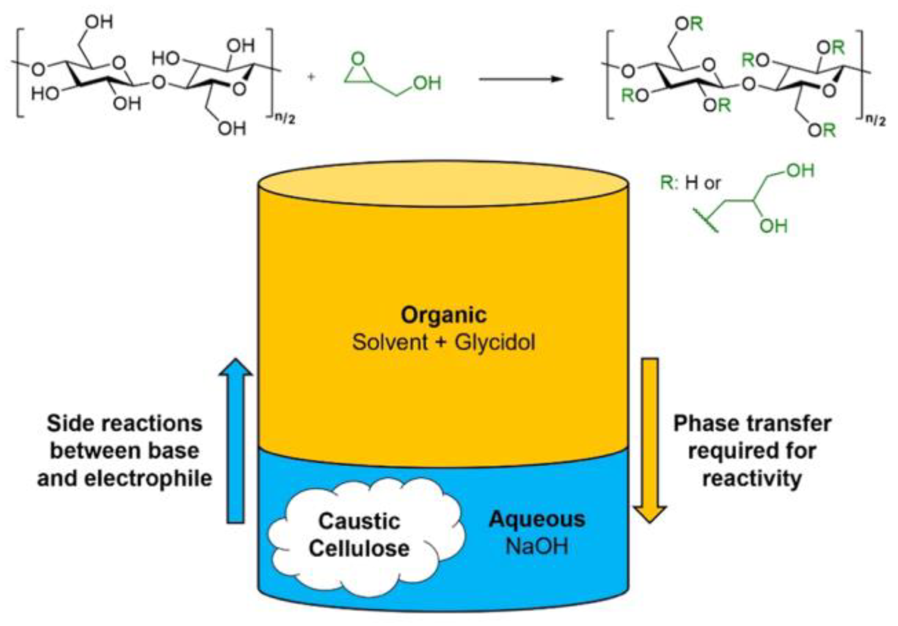 Molecules 30 01610 g001