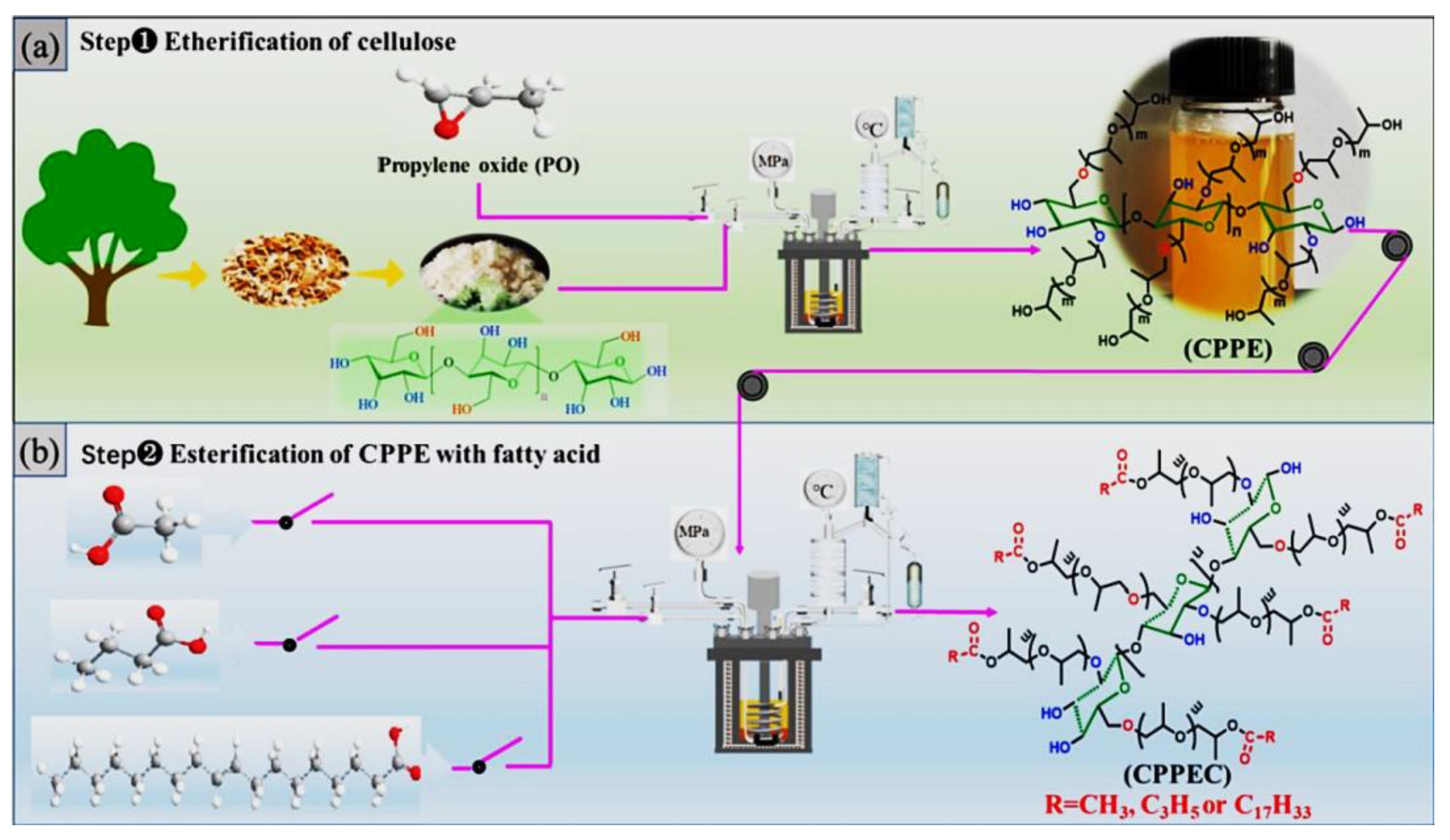 Molecules 30 01610 g002