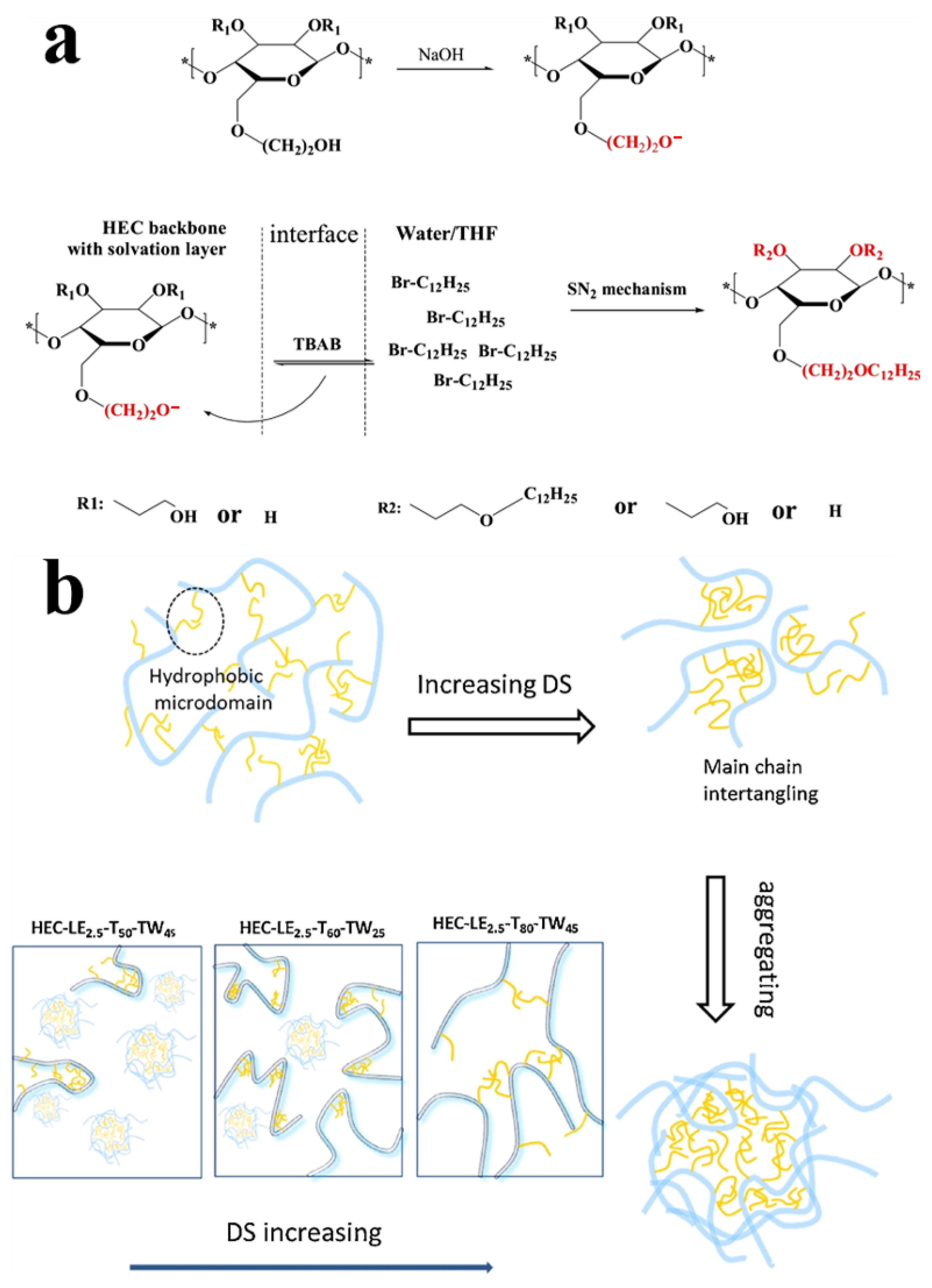 Molecules 30 01610 g006