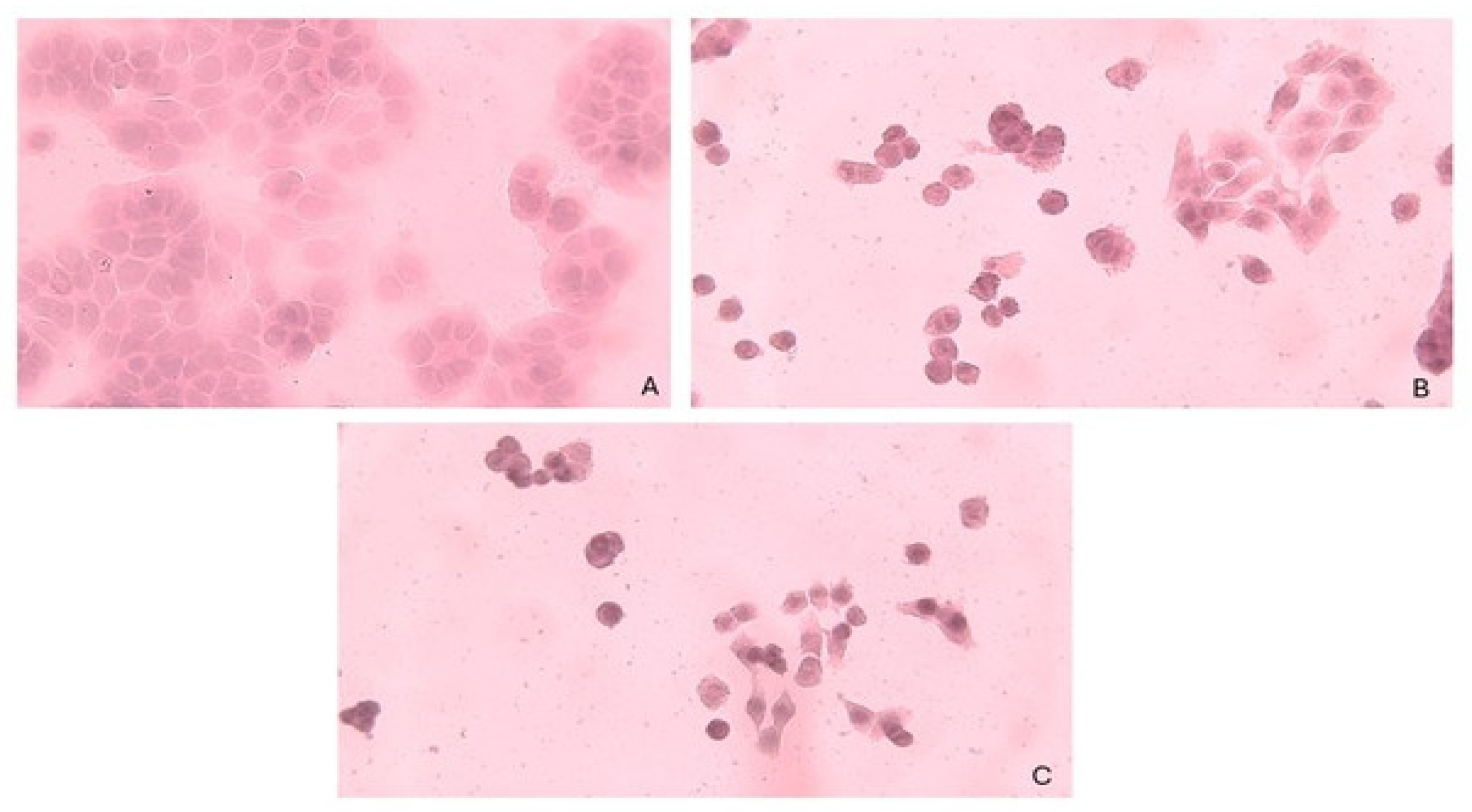 Molecules 30 01611 g005