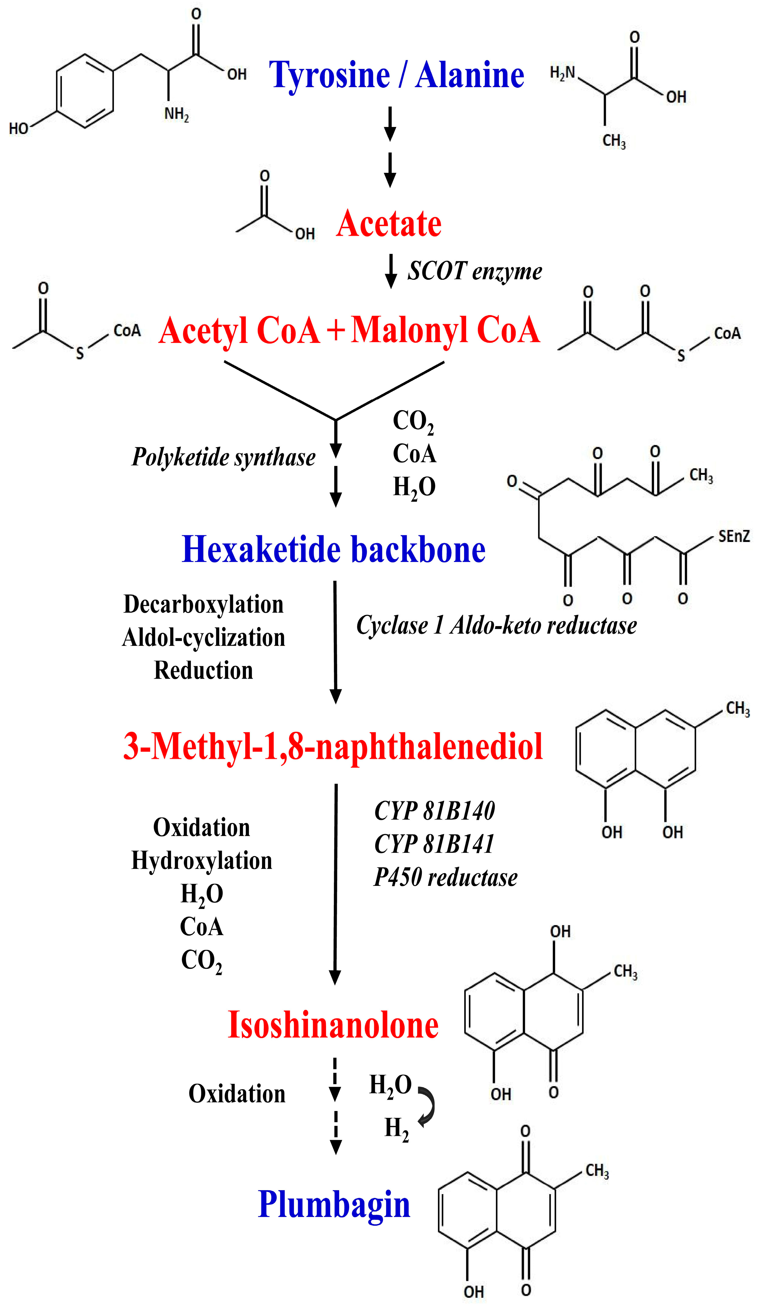 Molecules 30 01618 g001