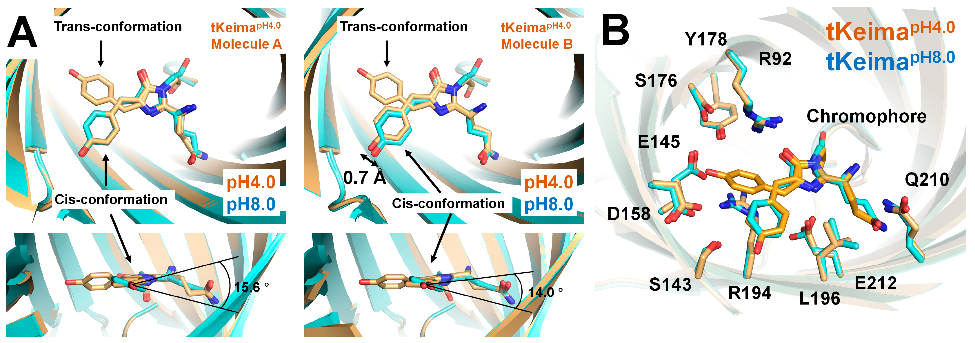 Molecules 30 01623 g004