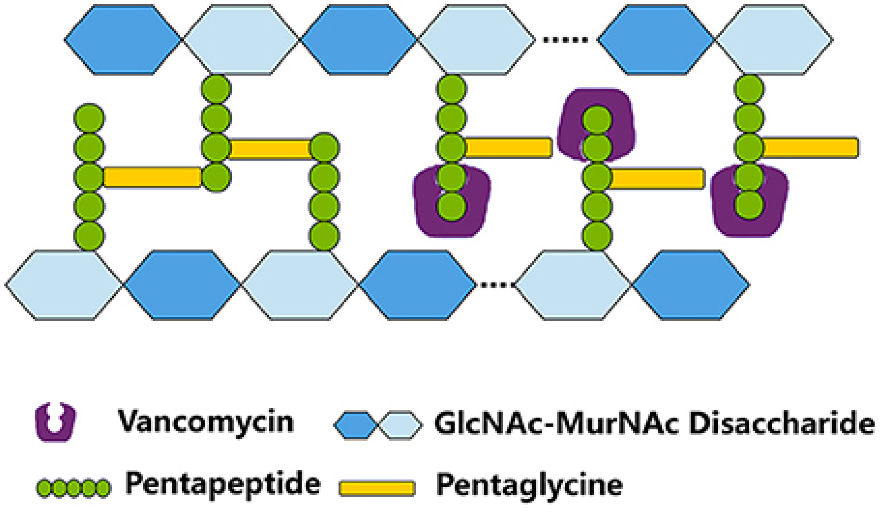 Molecules 30 01624 g002