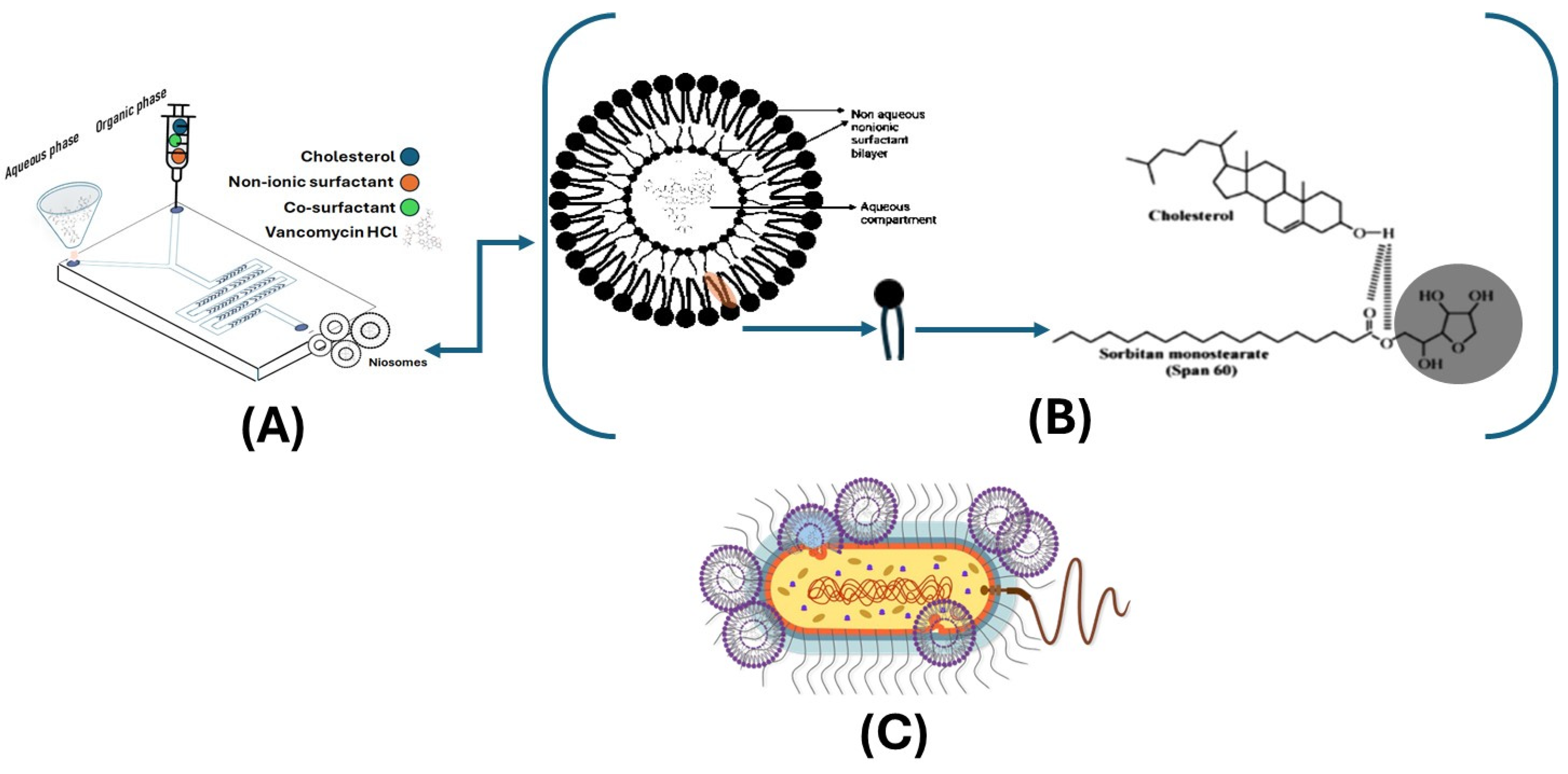 Molecules 30 01624 g003