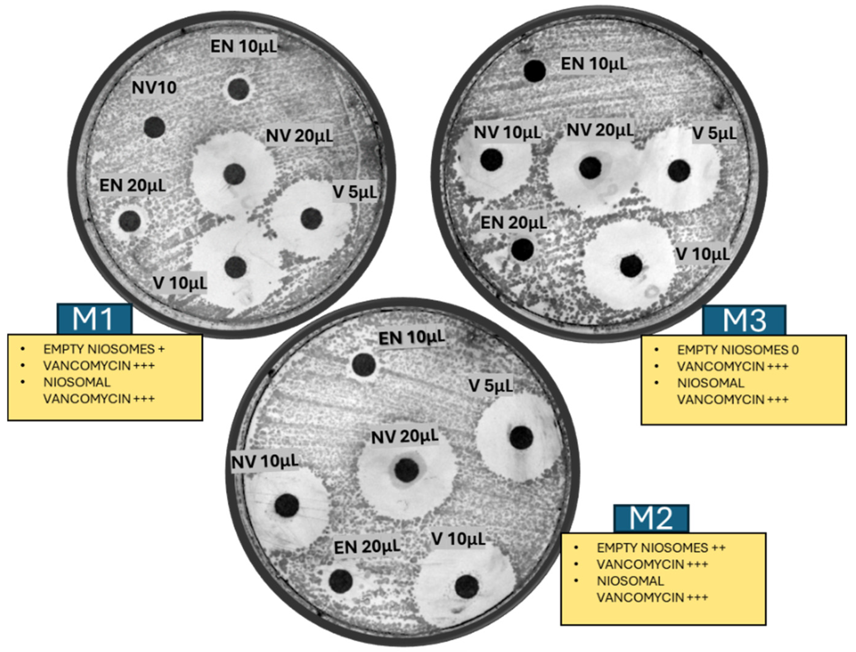 Molecules 30 01624 g007