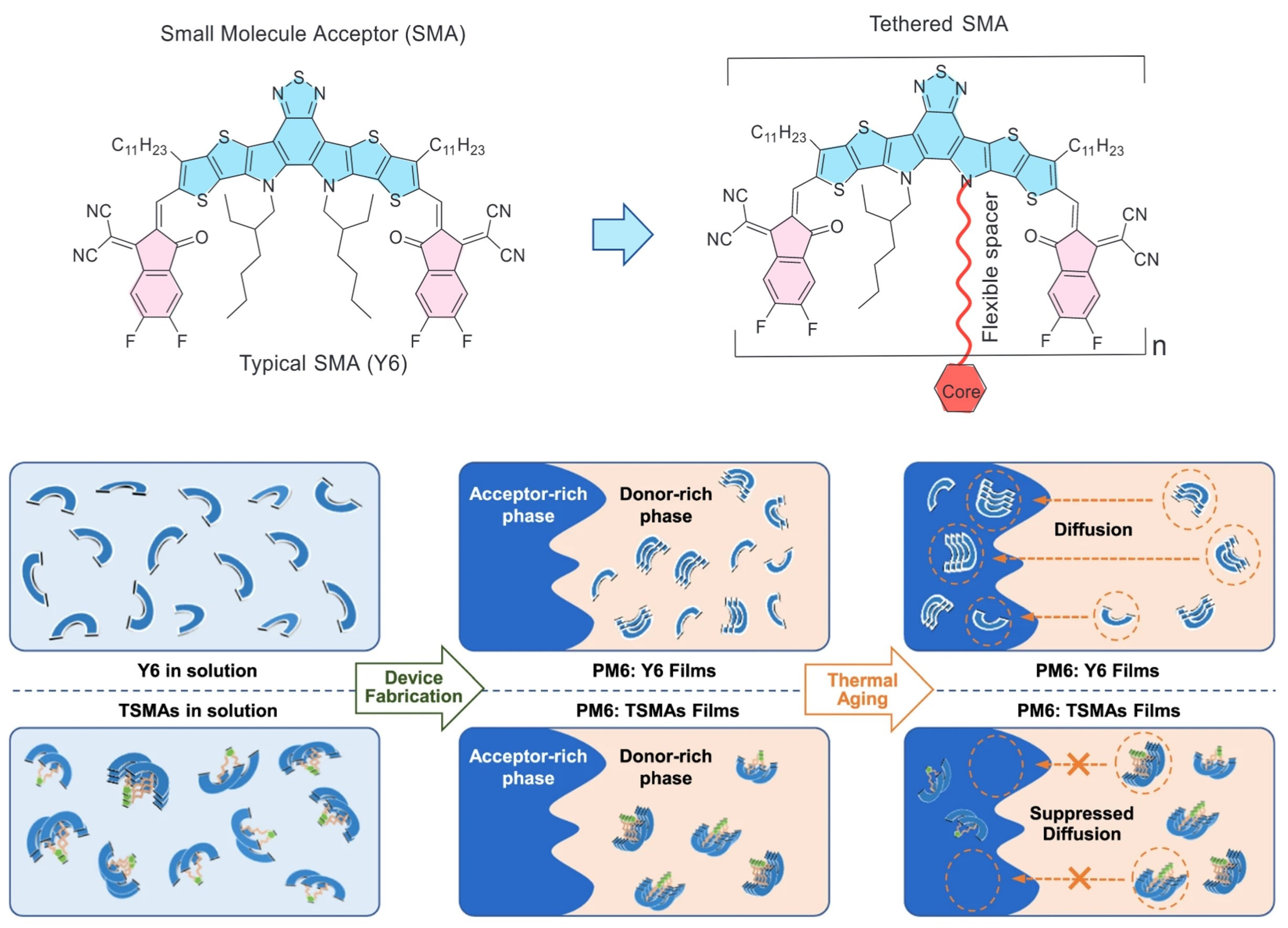 Molecules 30 01630 g004