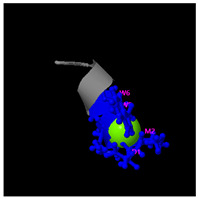 Molecules 30 01640 i003