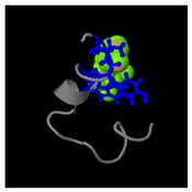 Molecules 30 01640 i013