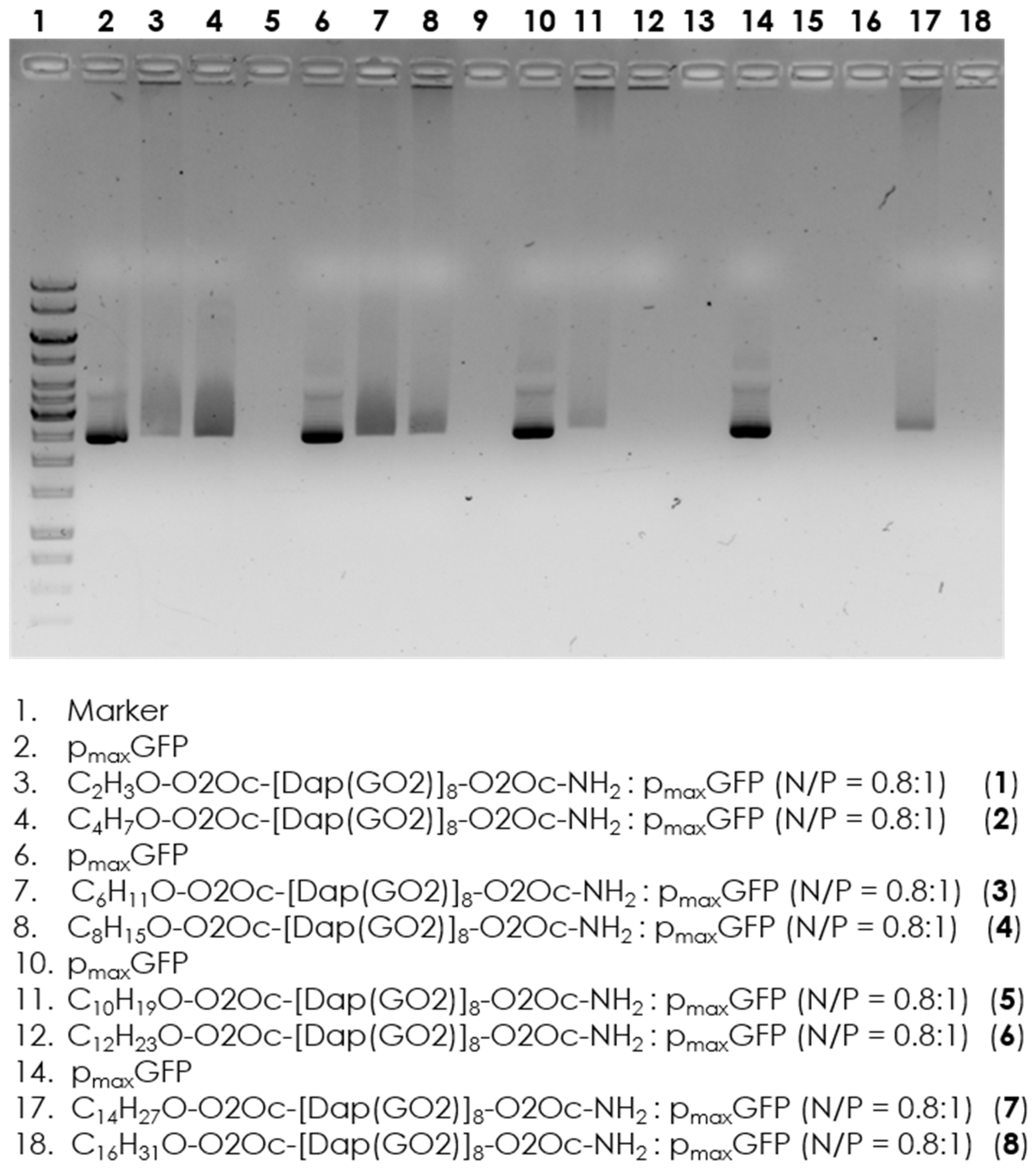 Molecules 30 01644 g002