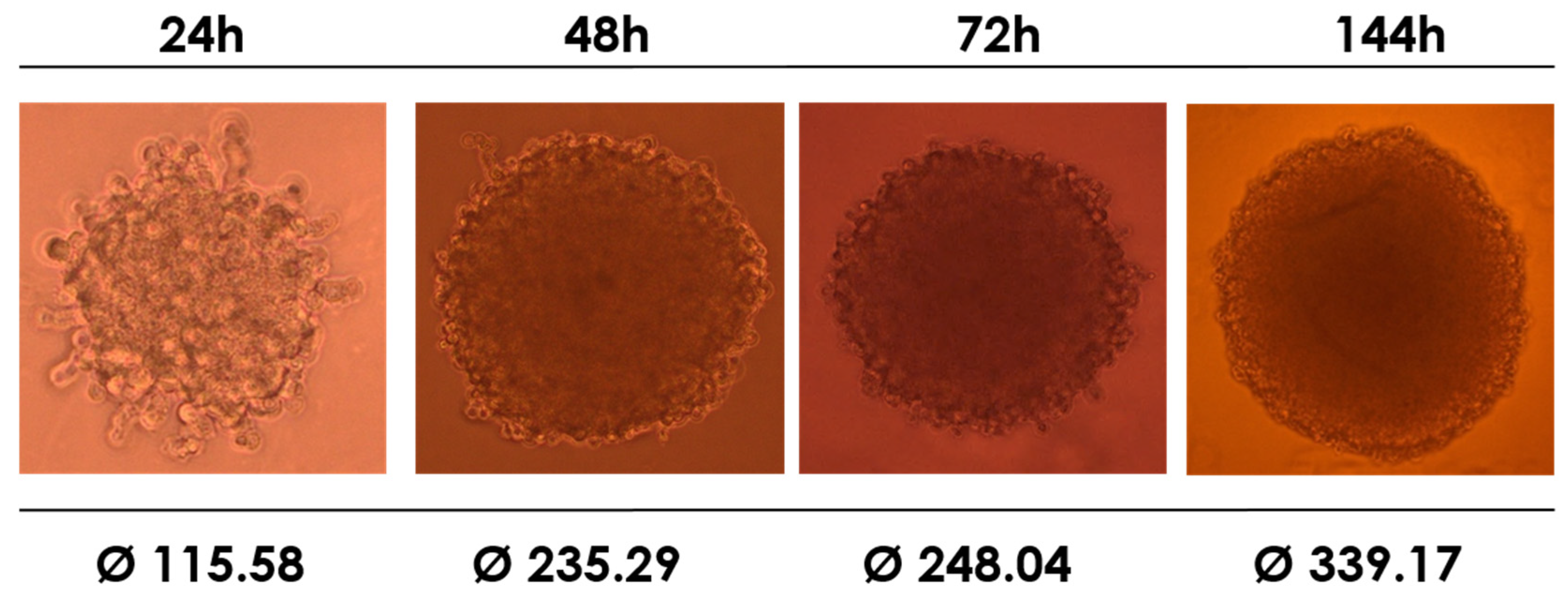 Molecules 30 01644 g004