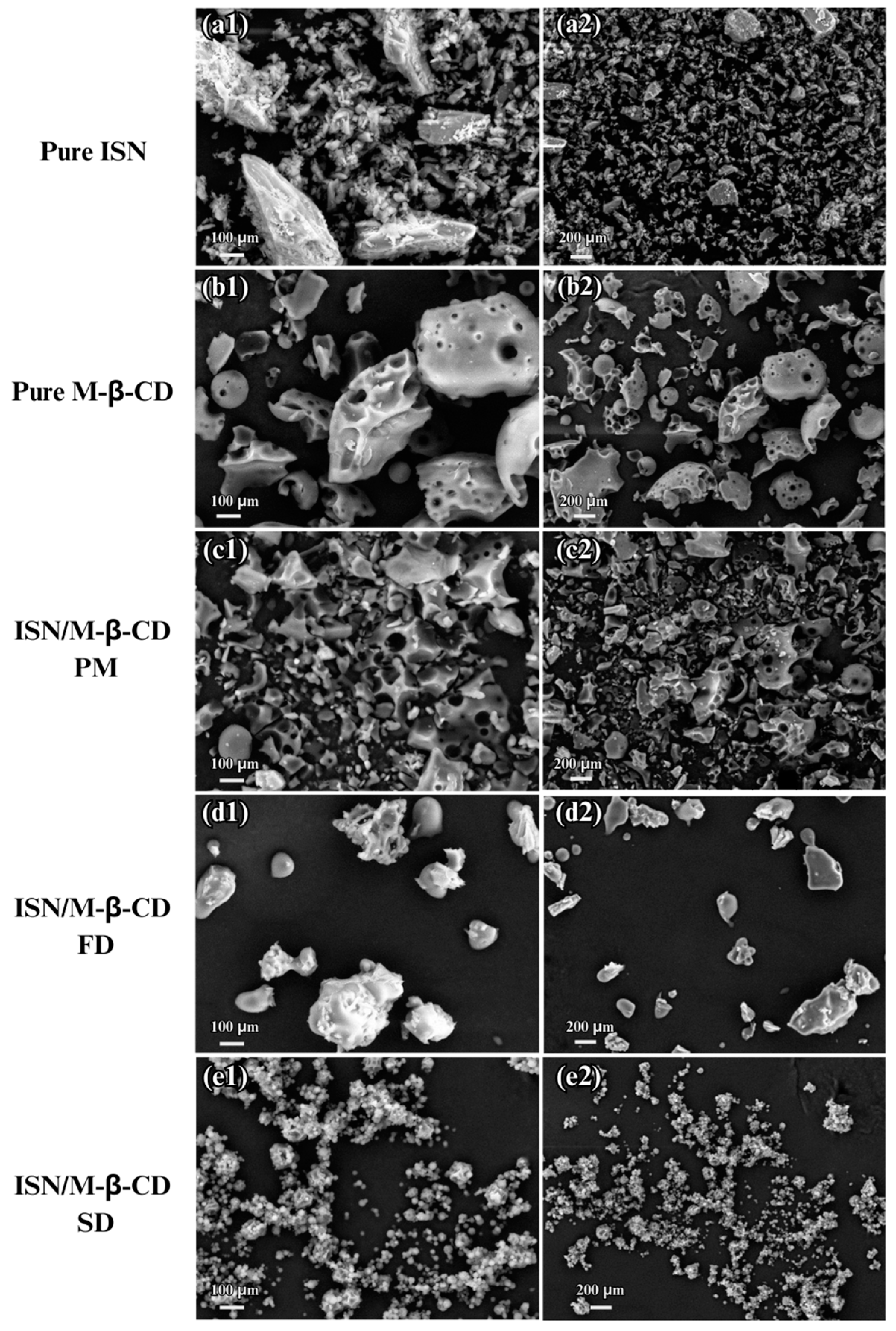 Molecules 30 01654 g004