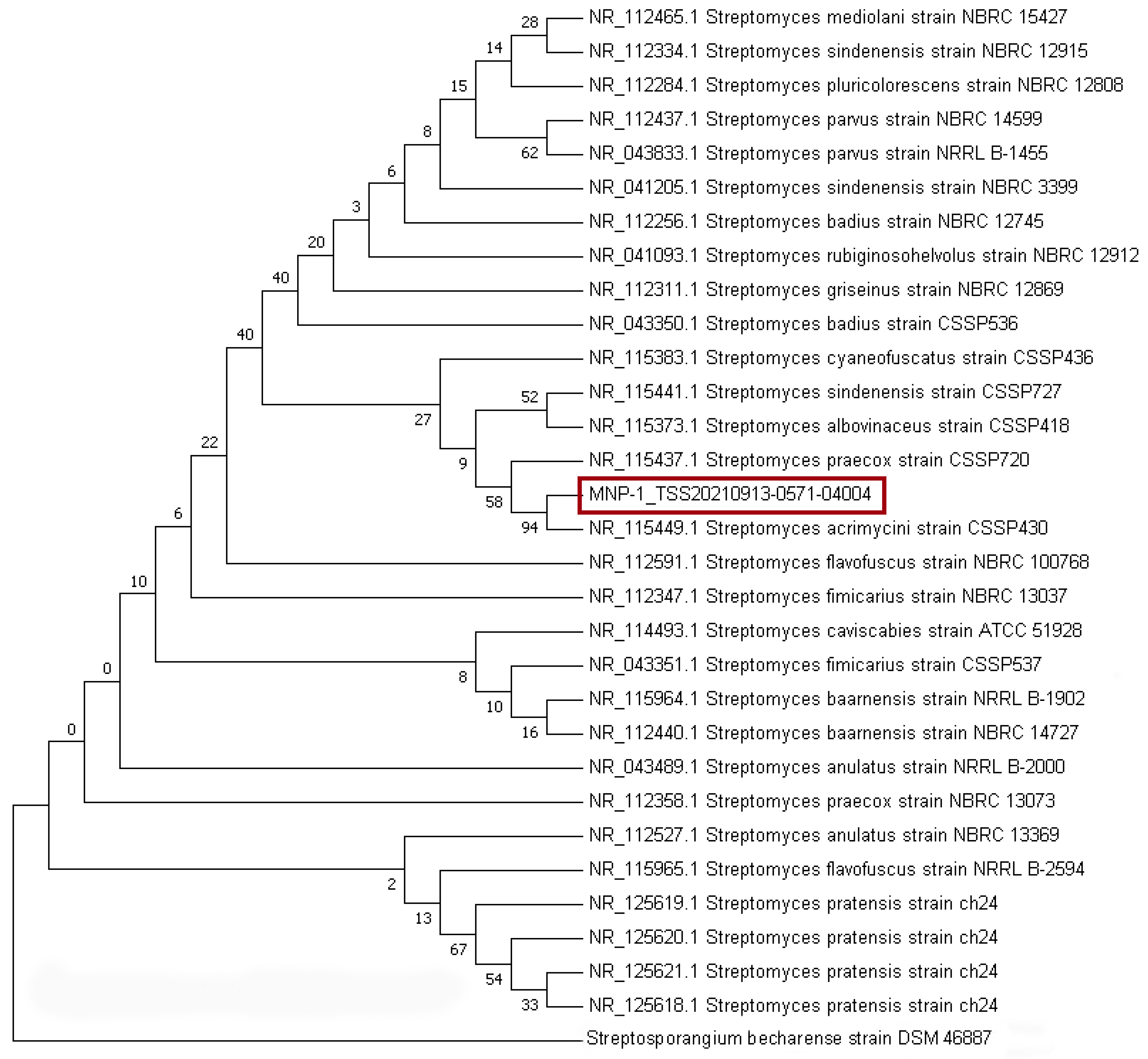 Molecules 30 01657 g003 Molecules 30 01657 g003
