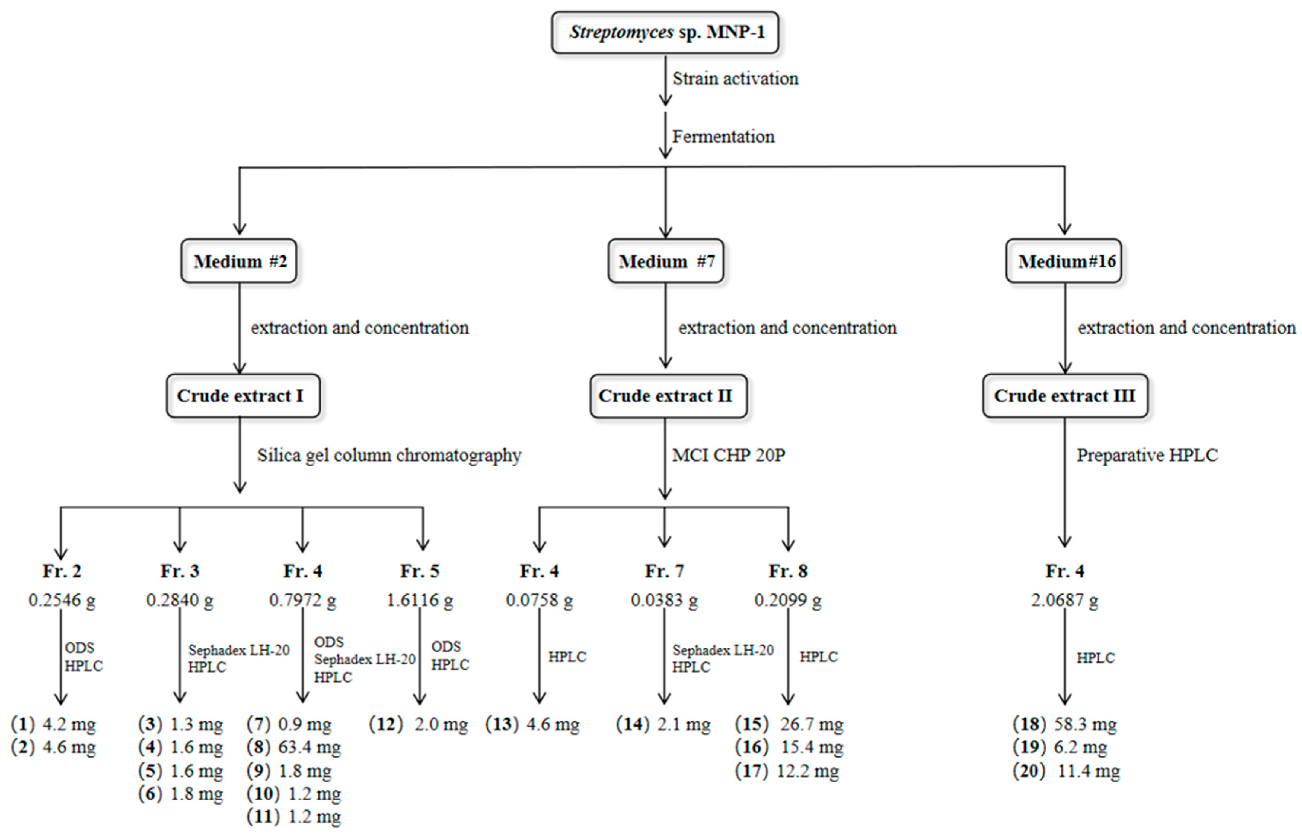 Molecules 30 01657 g004 Molecules 30 01657 g004