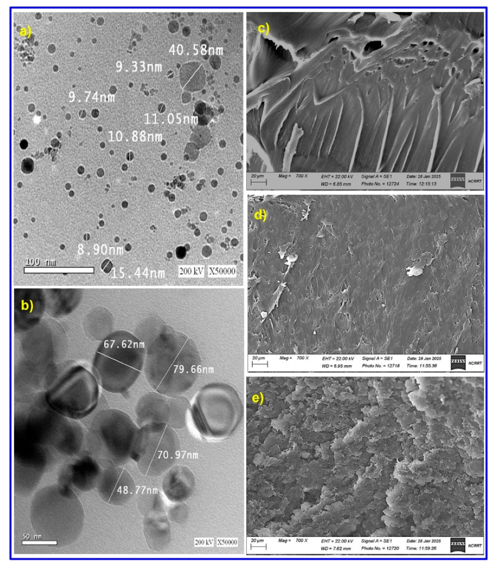 Molecules 30 01664 g005