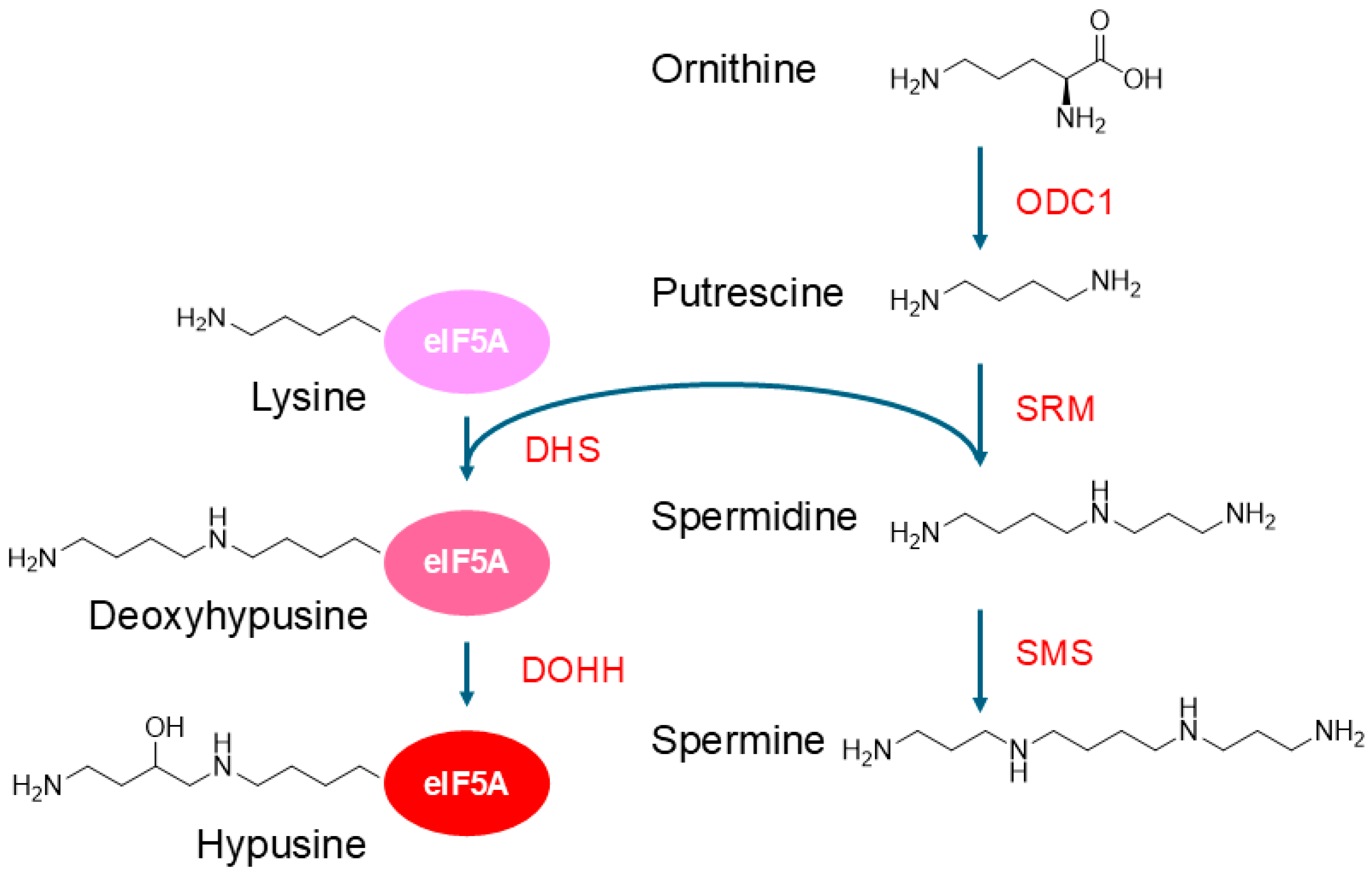 Molecules 30 01666 g001