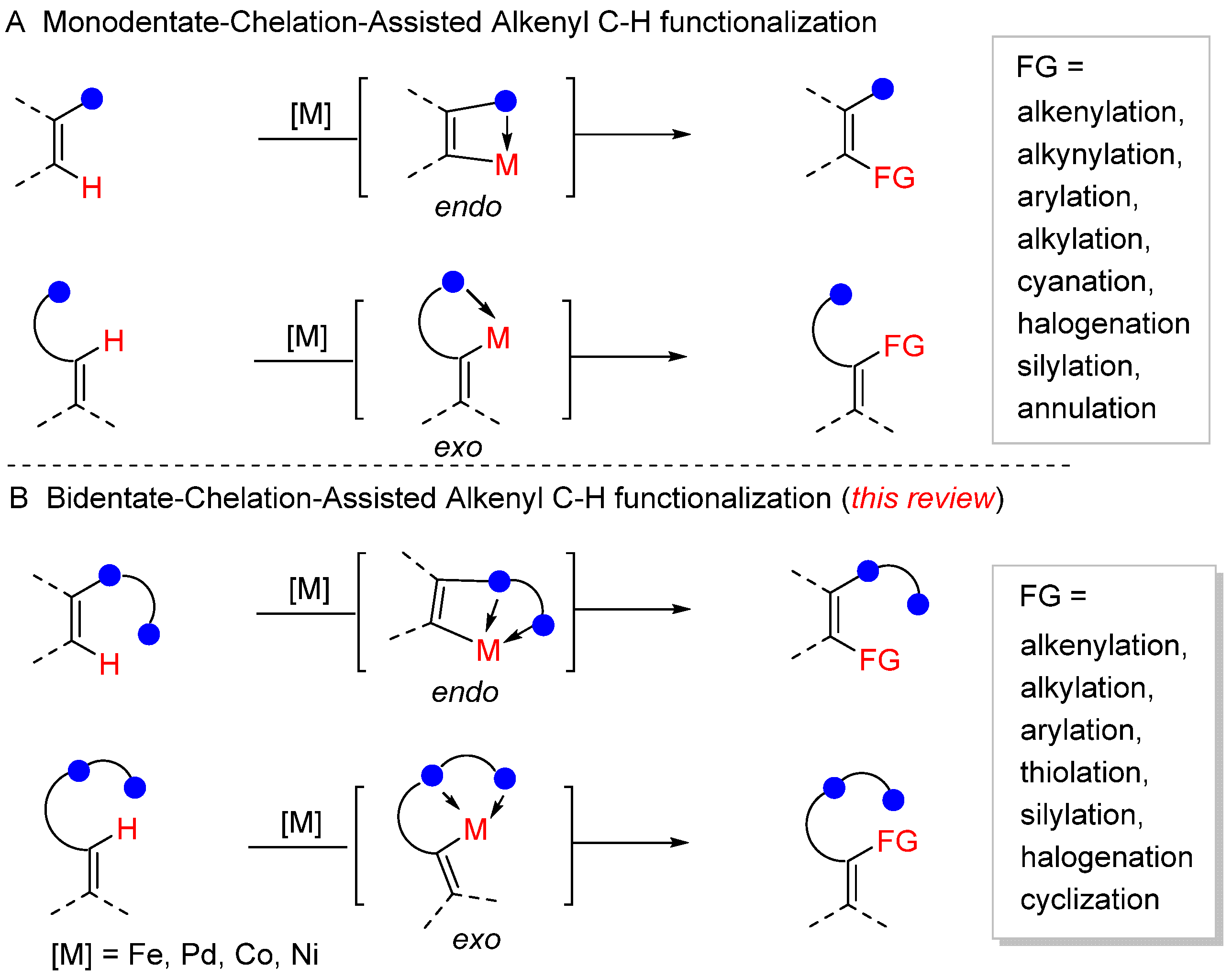 N,N- and N,O-Bidentate-Chelation-Assisted Alkenyl C–H