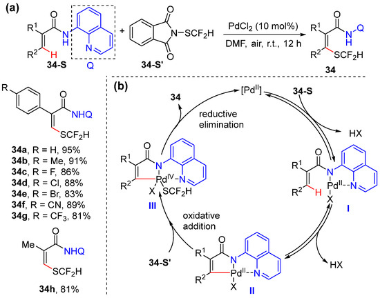 N,N- and N,O-Bidentate-Chelation-Assisted Alkenyl C–H