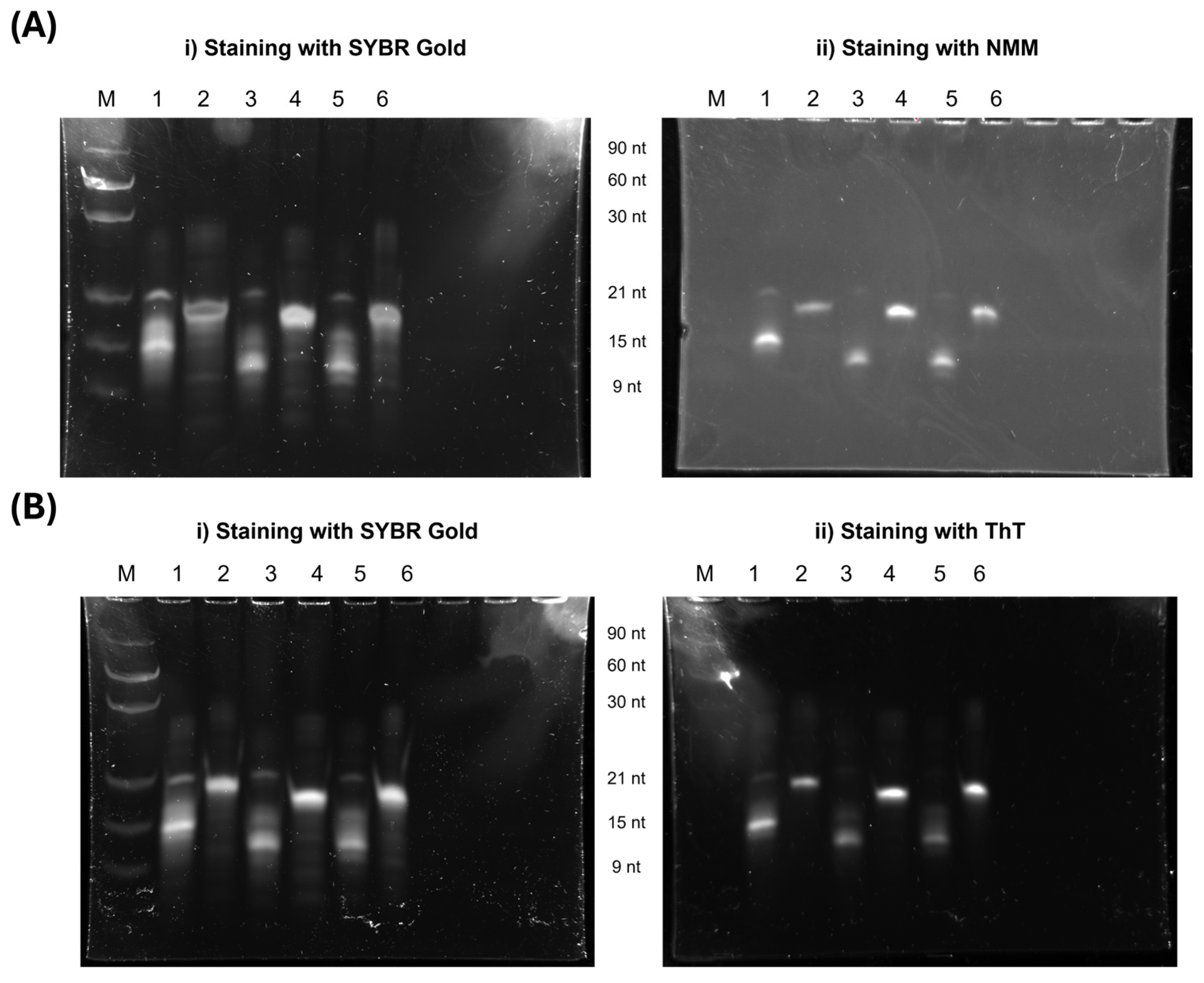 Molecules 30 01673 g003