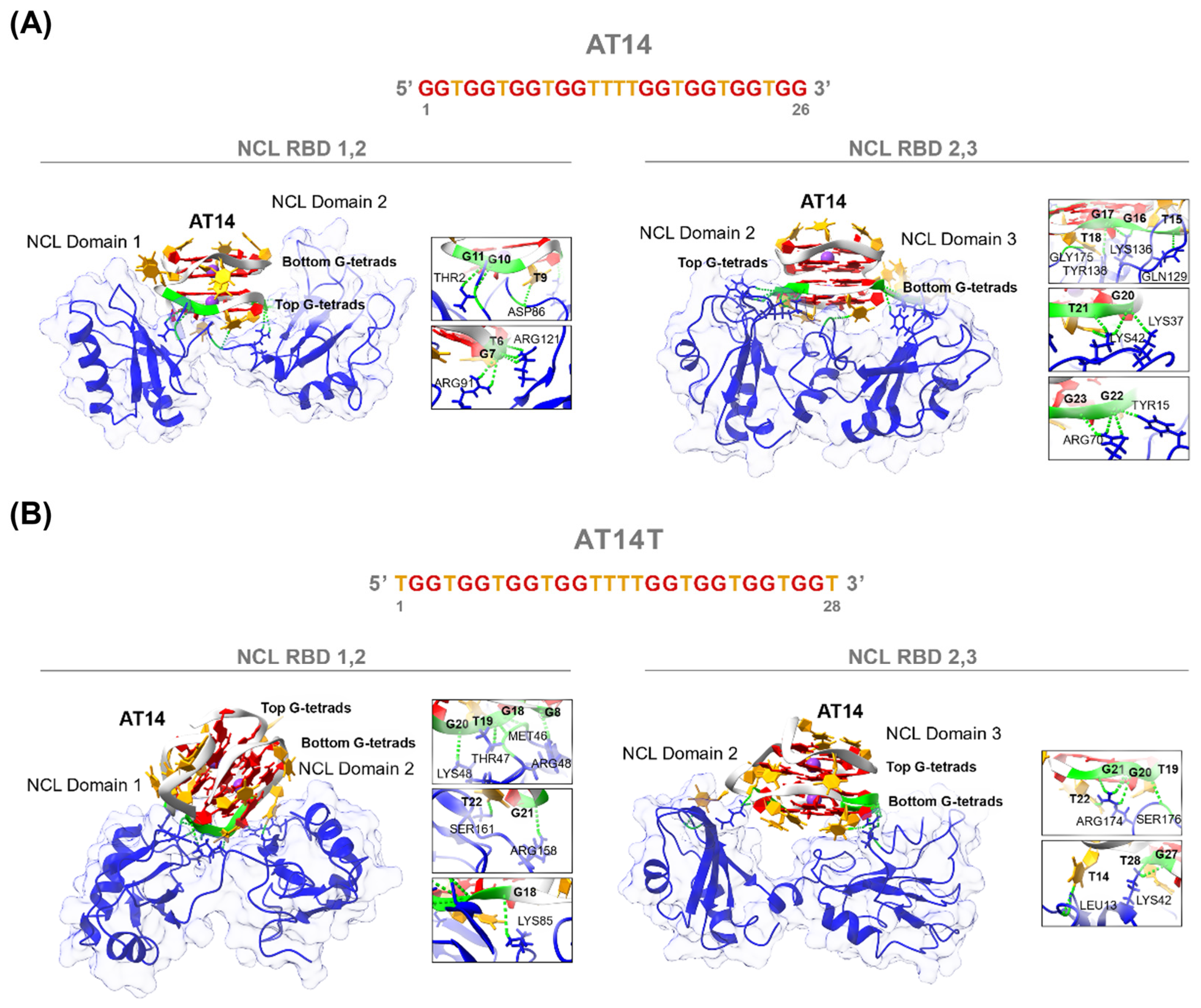 Molecules 30 01673 g006