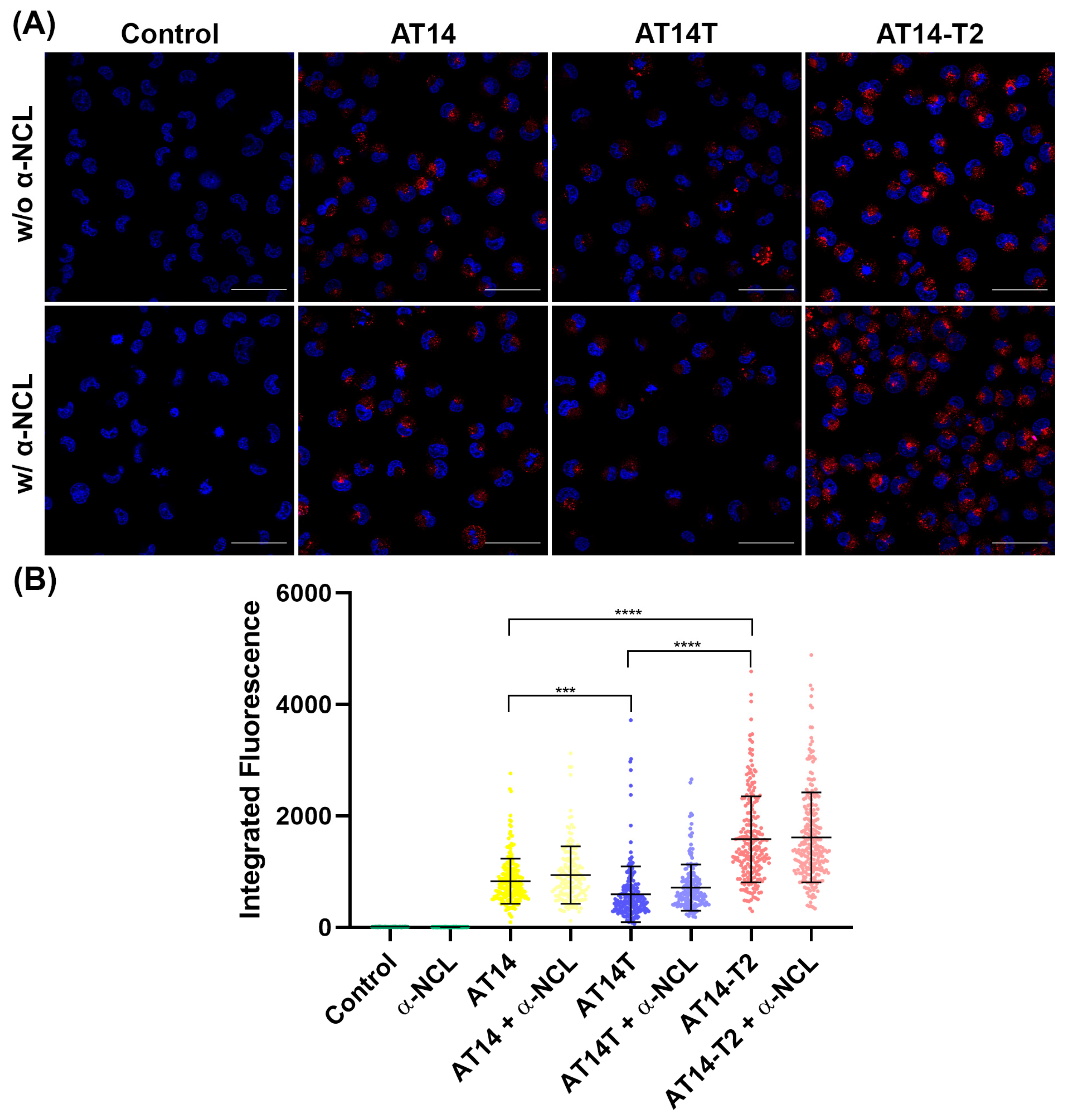 Molecules 30 01673 g007
