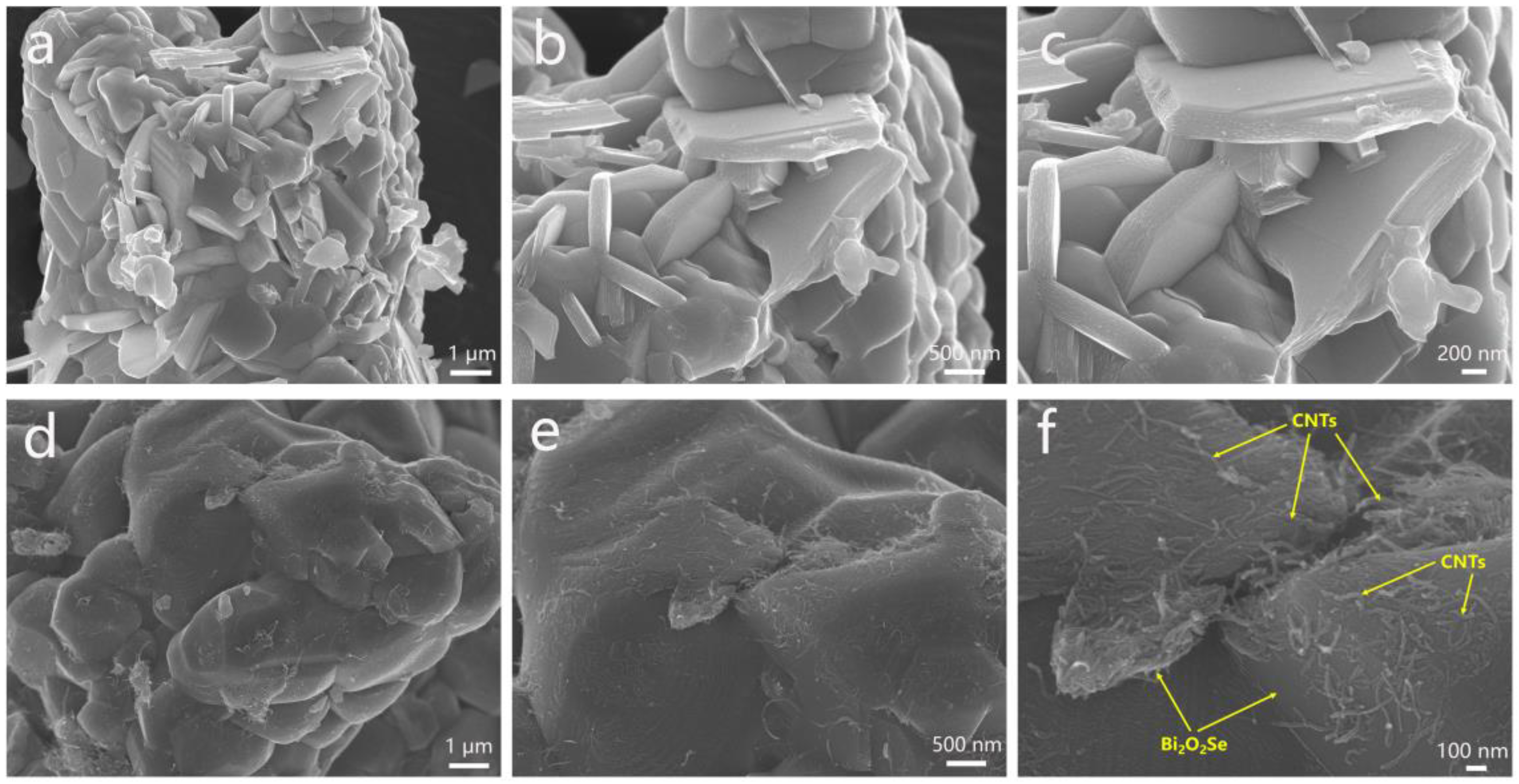 Molecules 30 01685 g003
