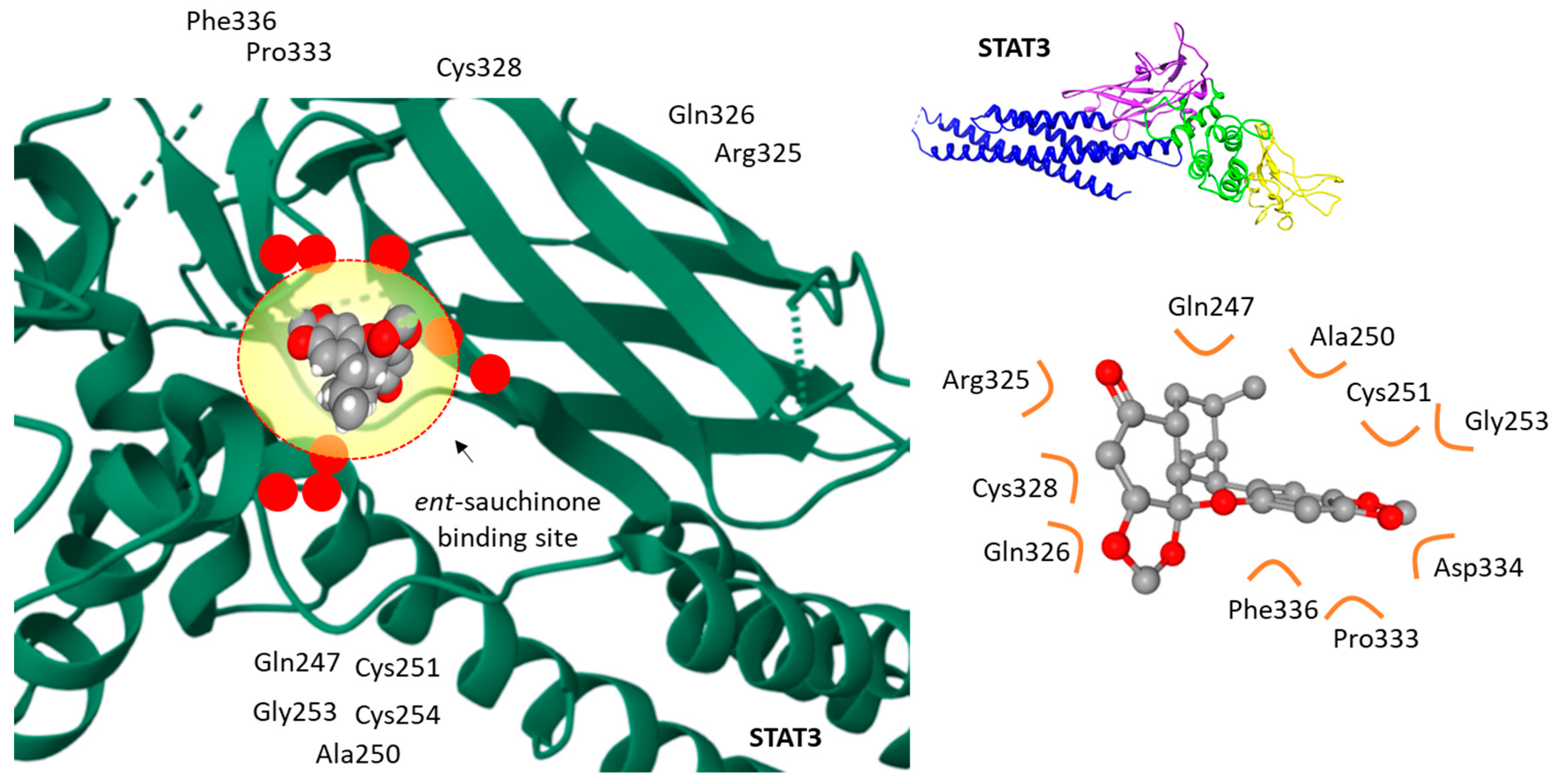 Molecules 30 01696 g006