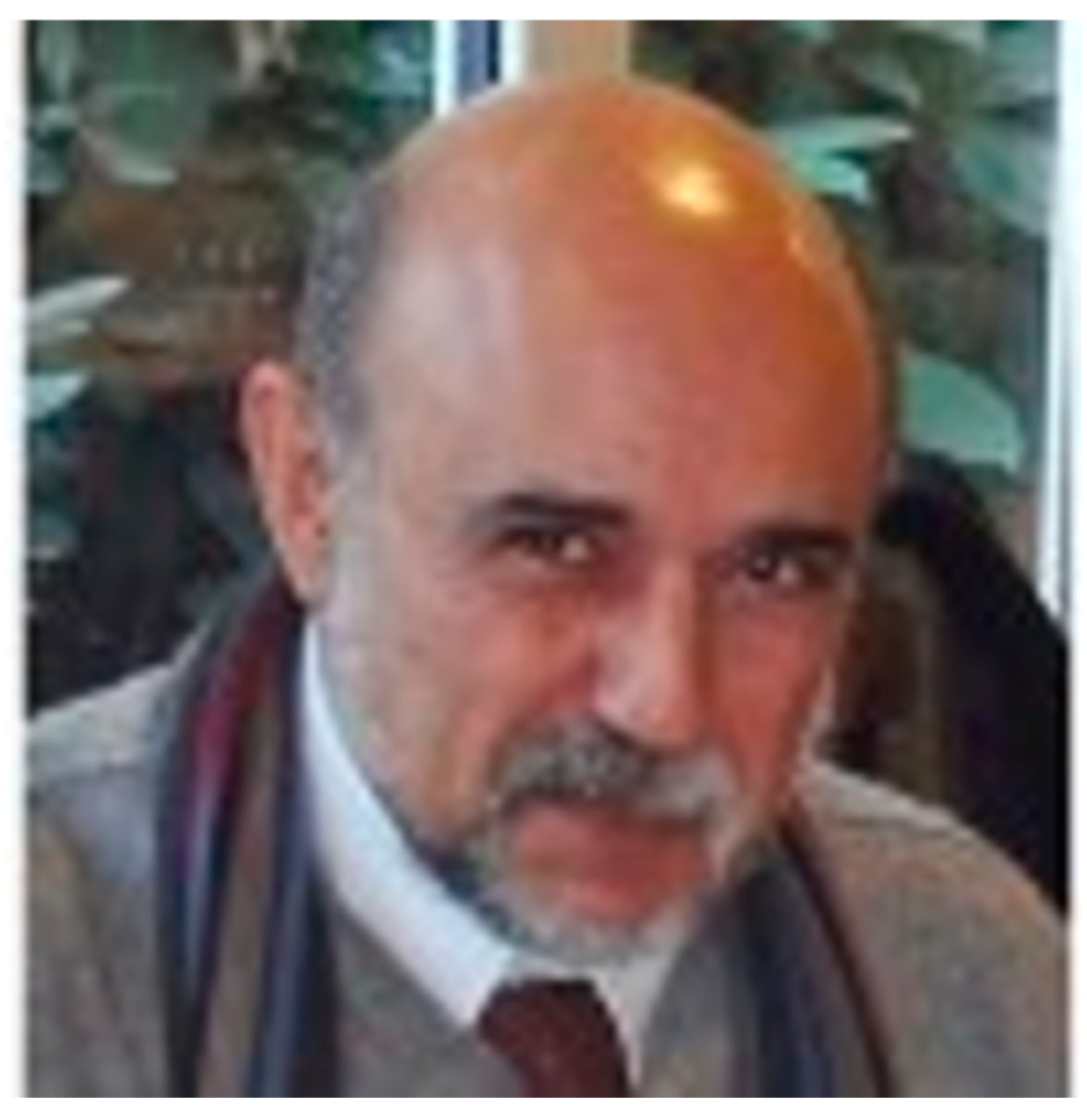 Molecules 30 01710 g001