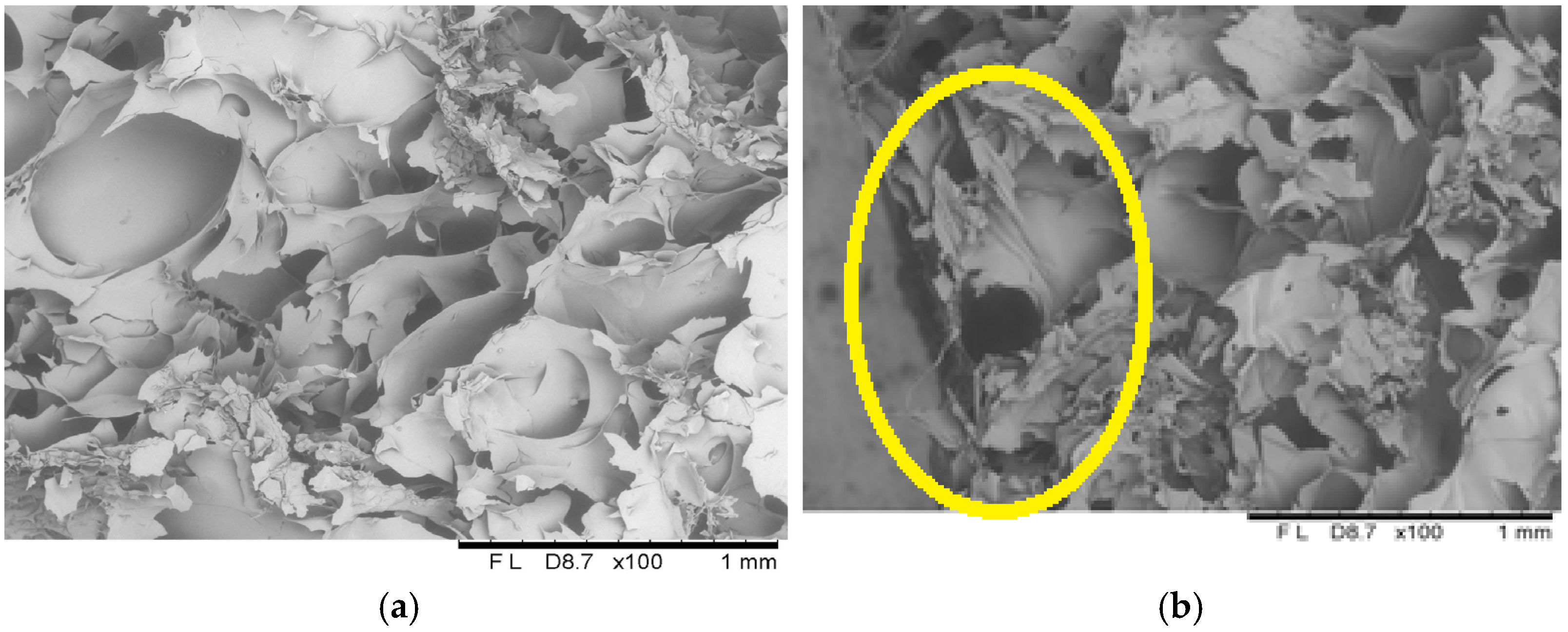 Molecules 30 01716 g008