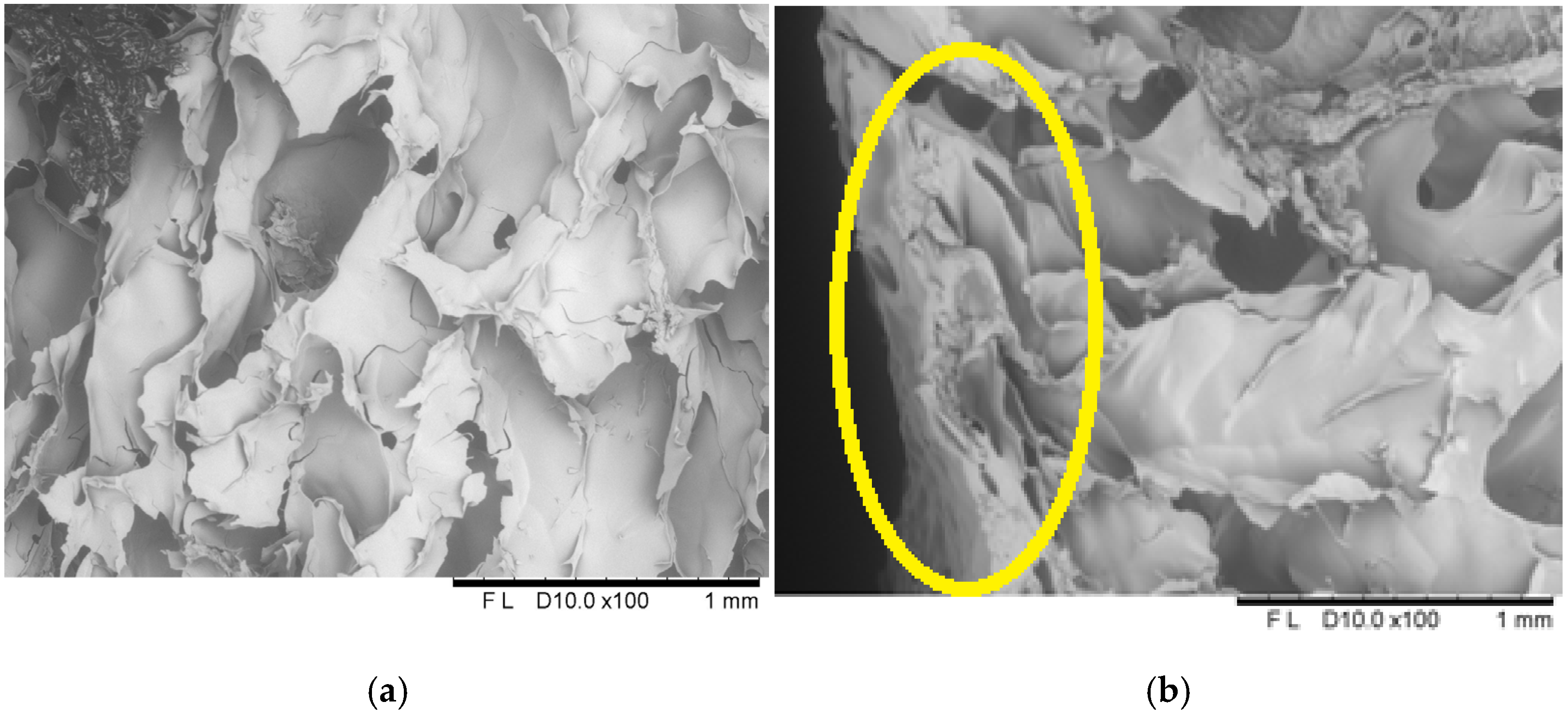 Molecules 30 01716 g010