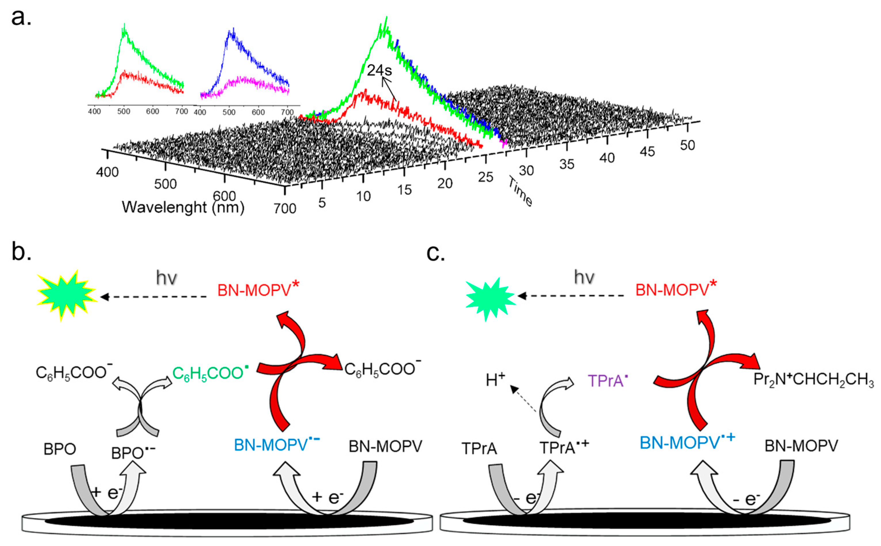 Molecules 30 01718 g006