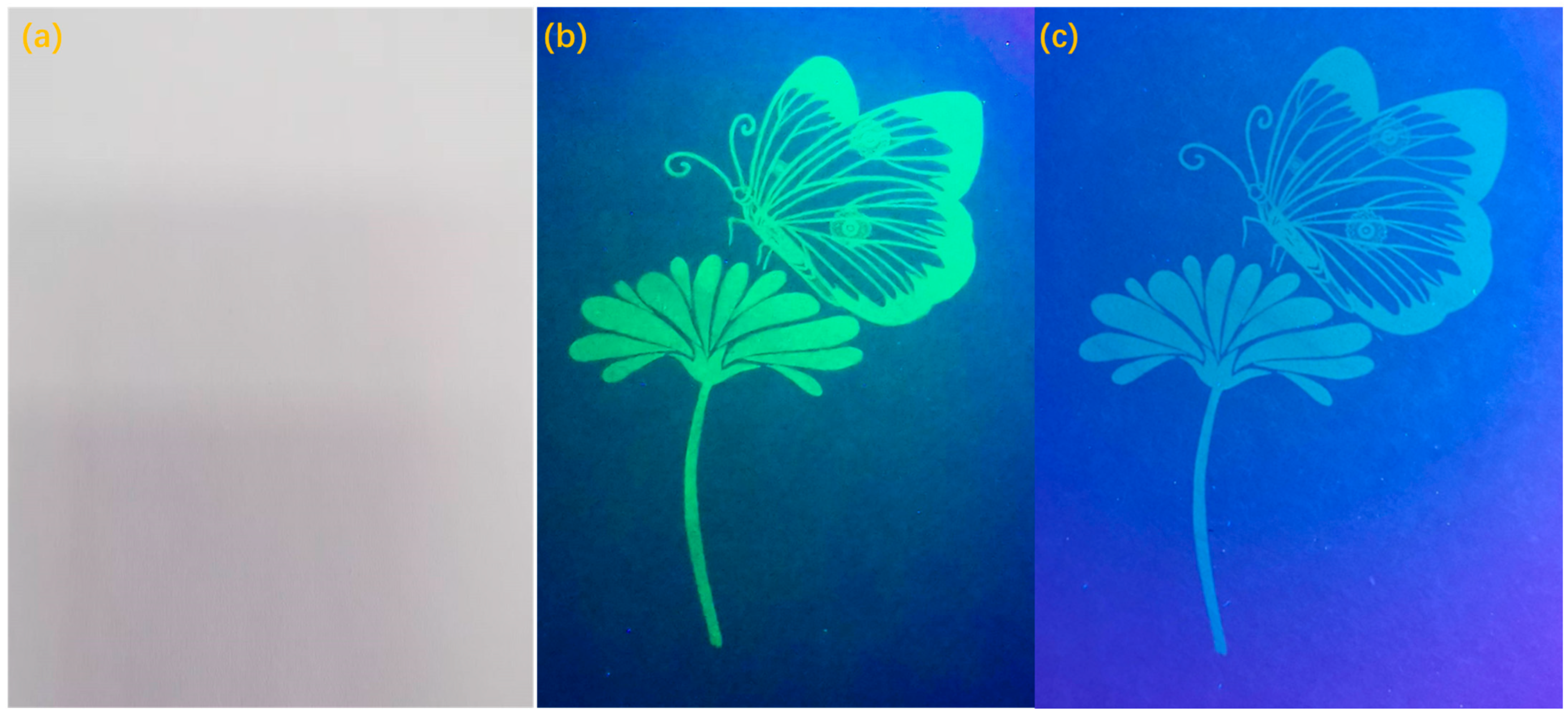 Molecules 30 01719 g006