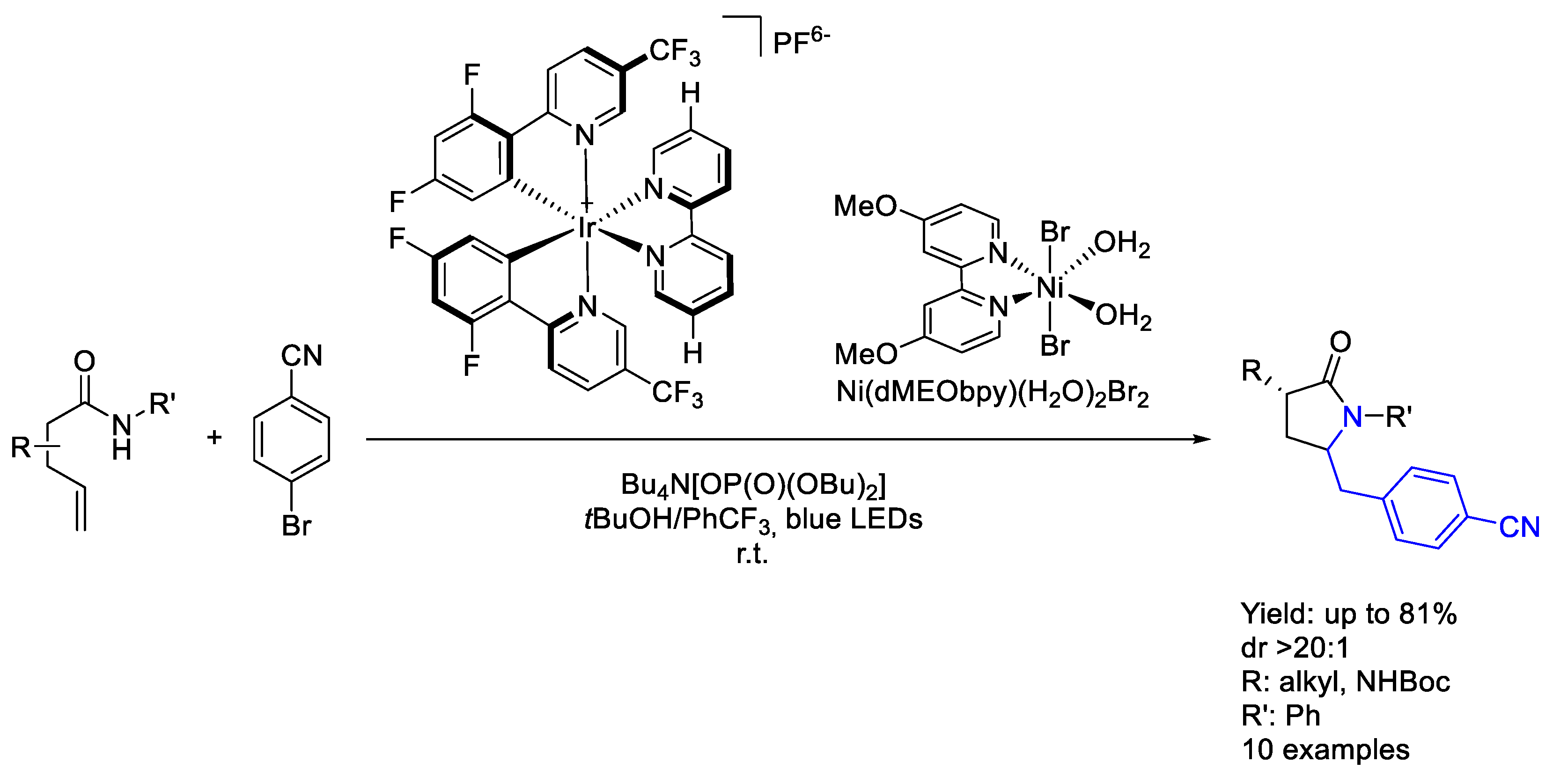 Molecules 30 01721 sch099