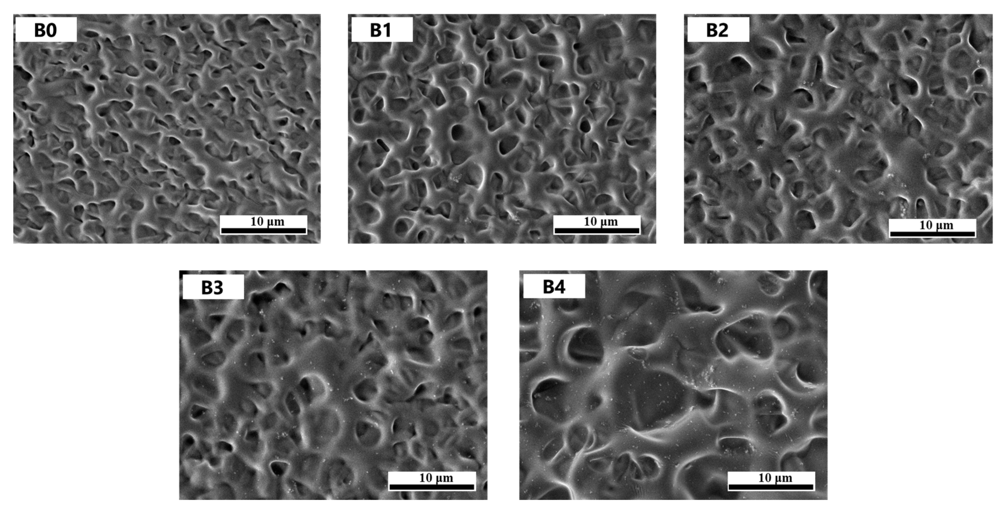 Molecules 30 01730 g005