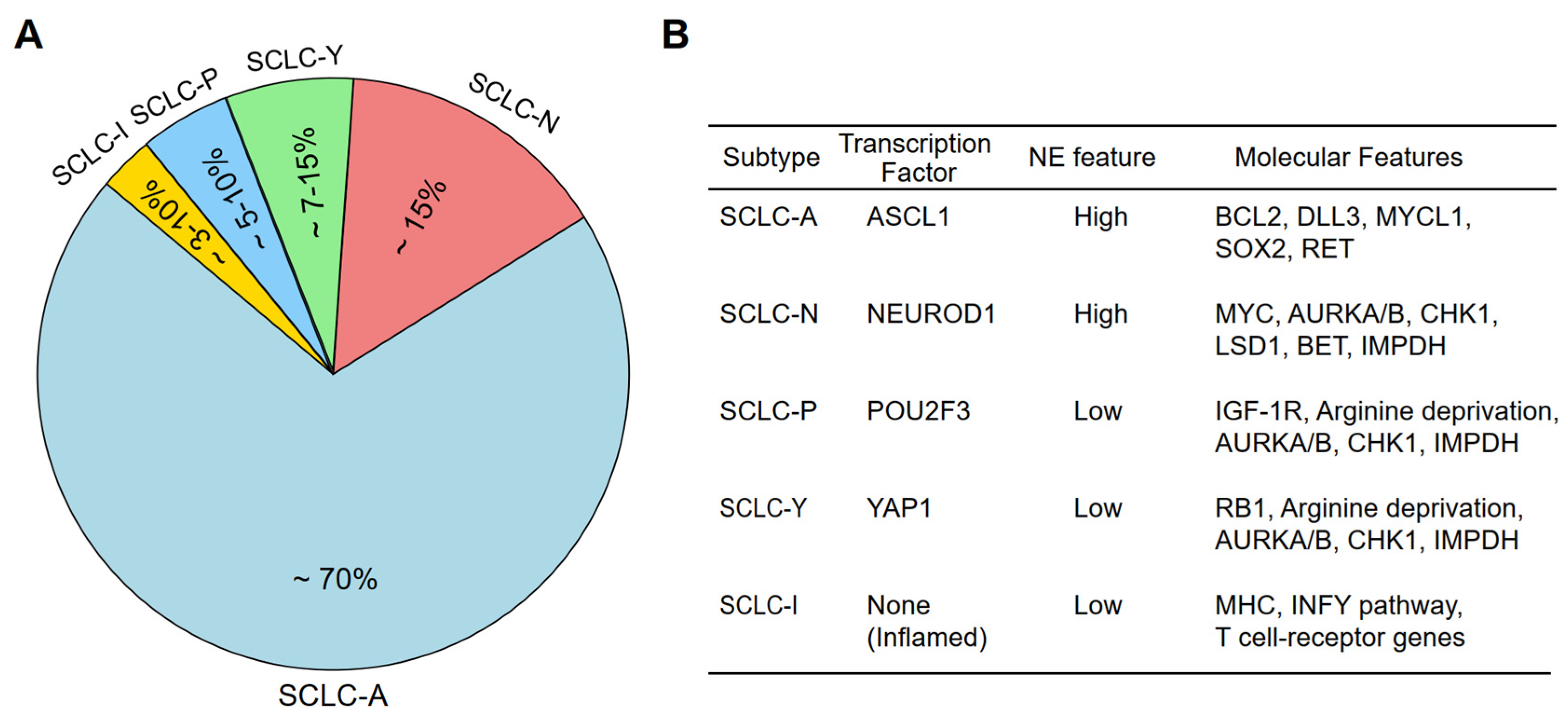 Molecules 30 01731 g001