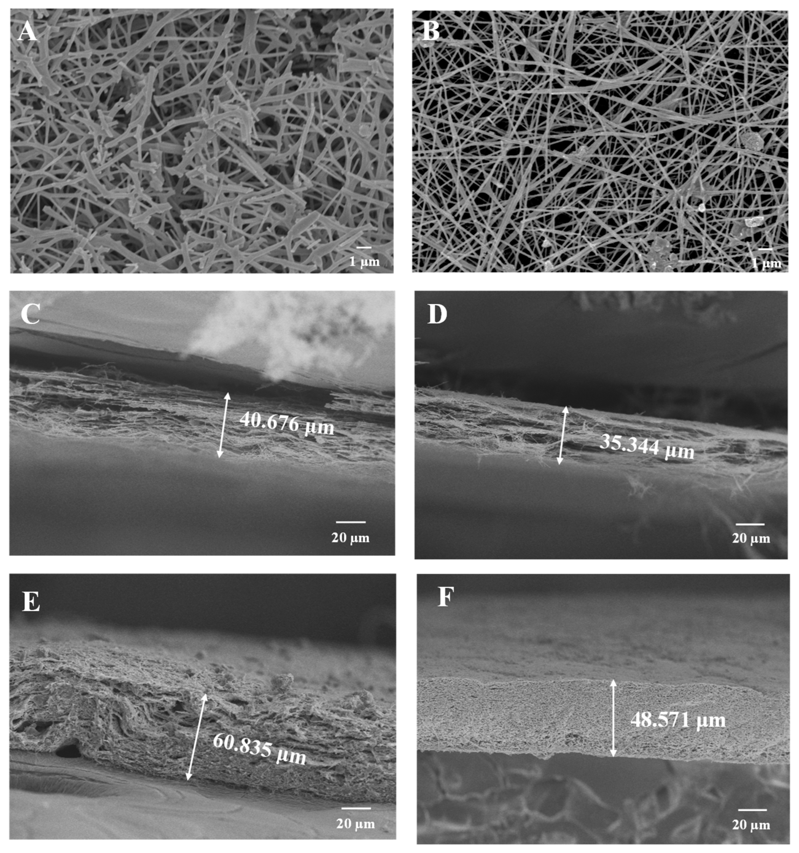 Molecules 30 01740 g009