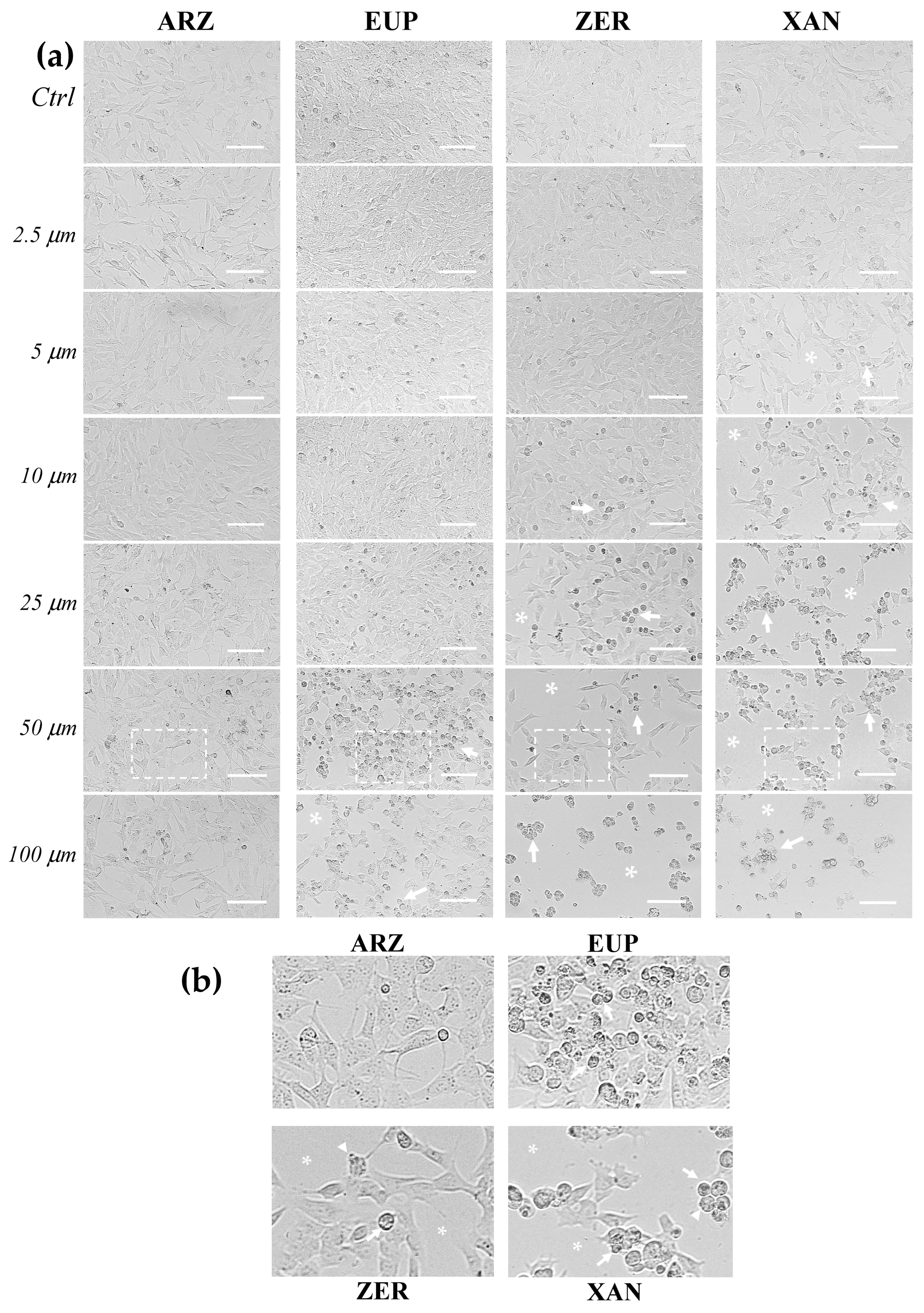 Molecules 30 01742 g004