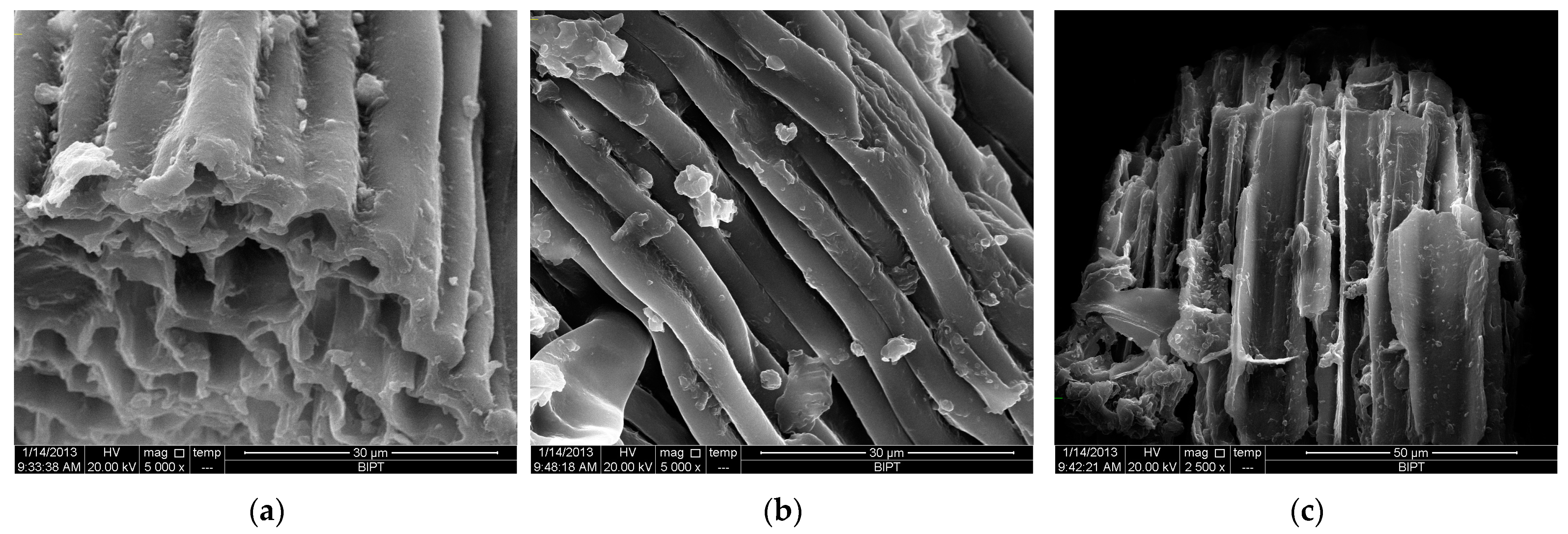 Molecules 30 01747 g008